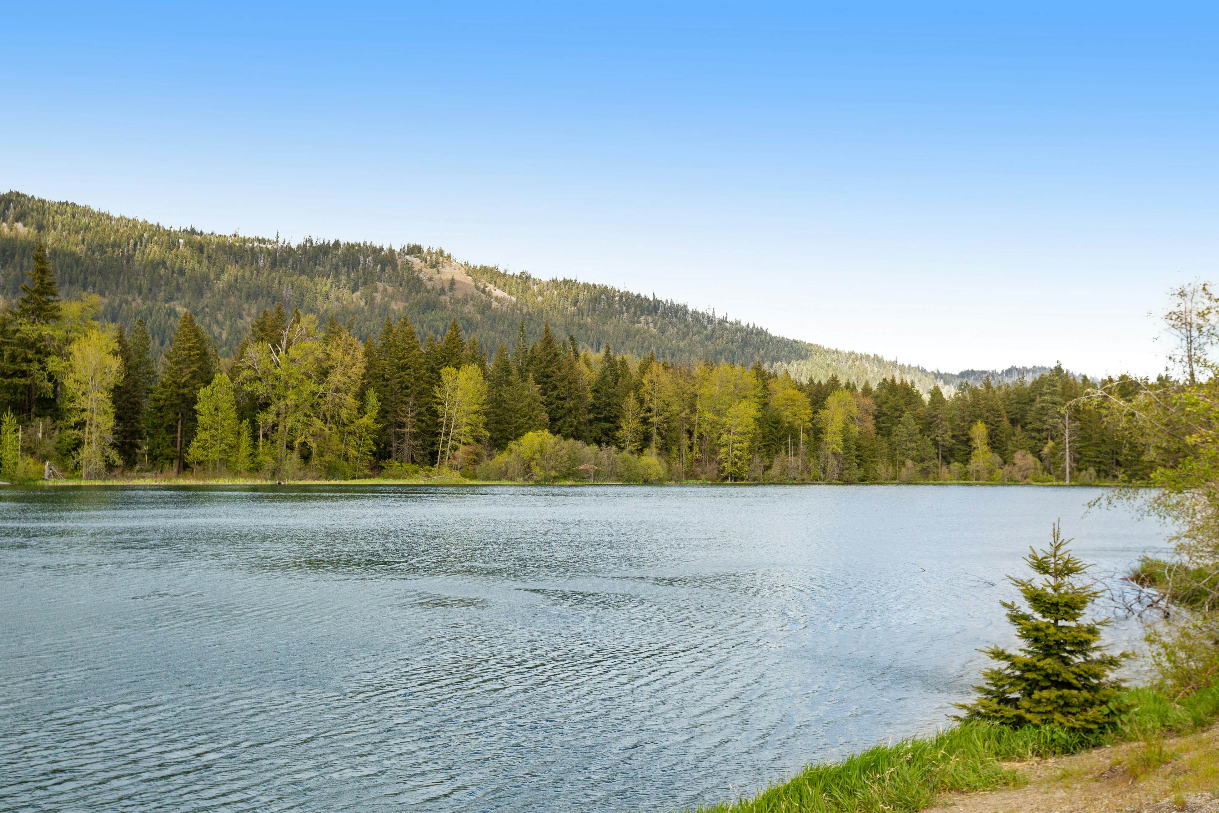 Riverfront Retreat at Lavender Lake