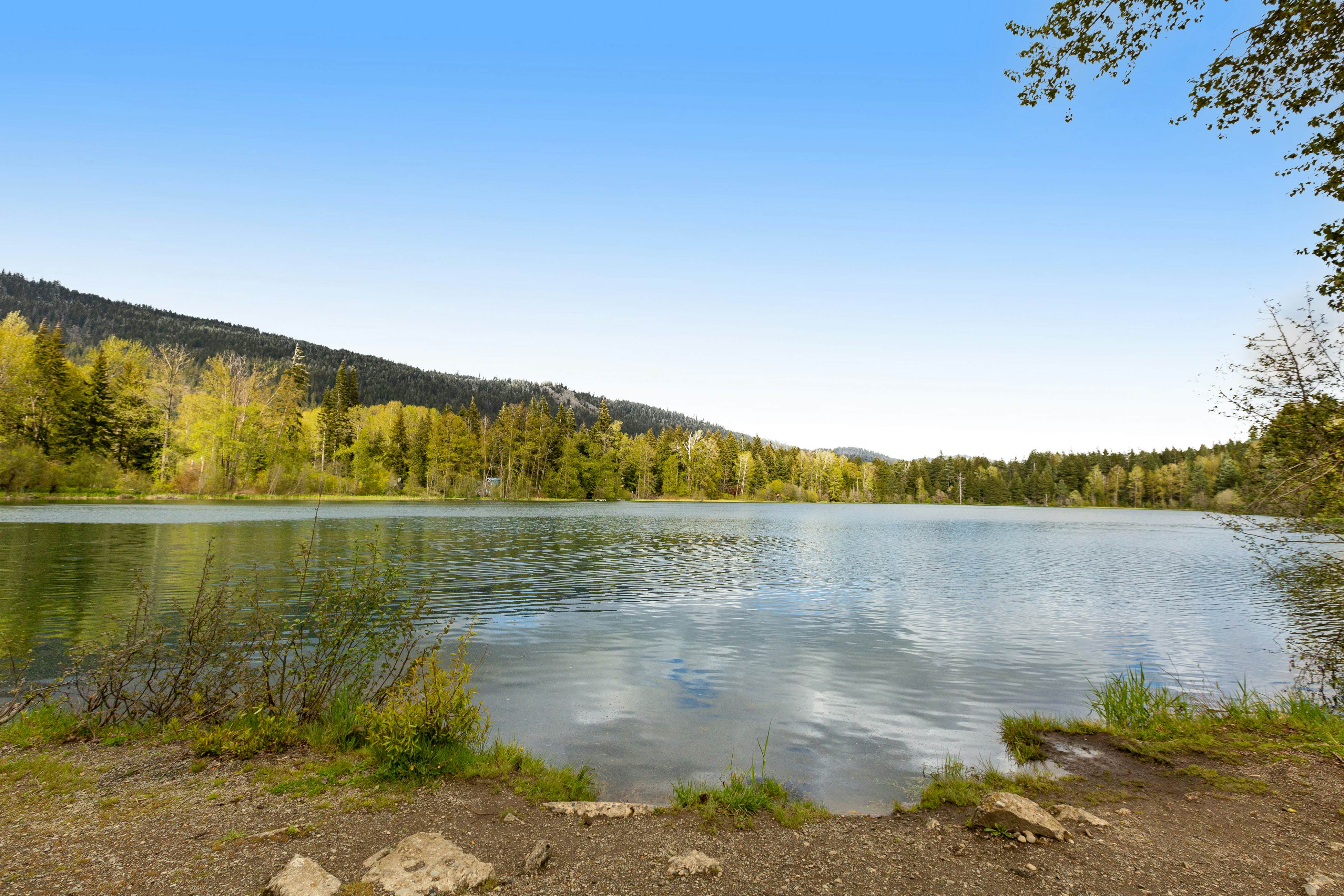 Riverfront Retreat at Lavender Lake