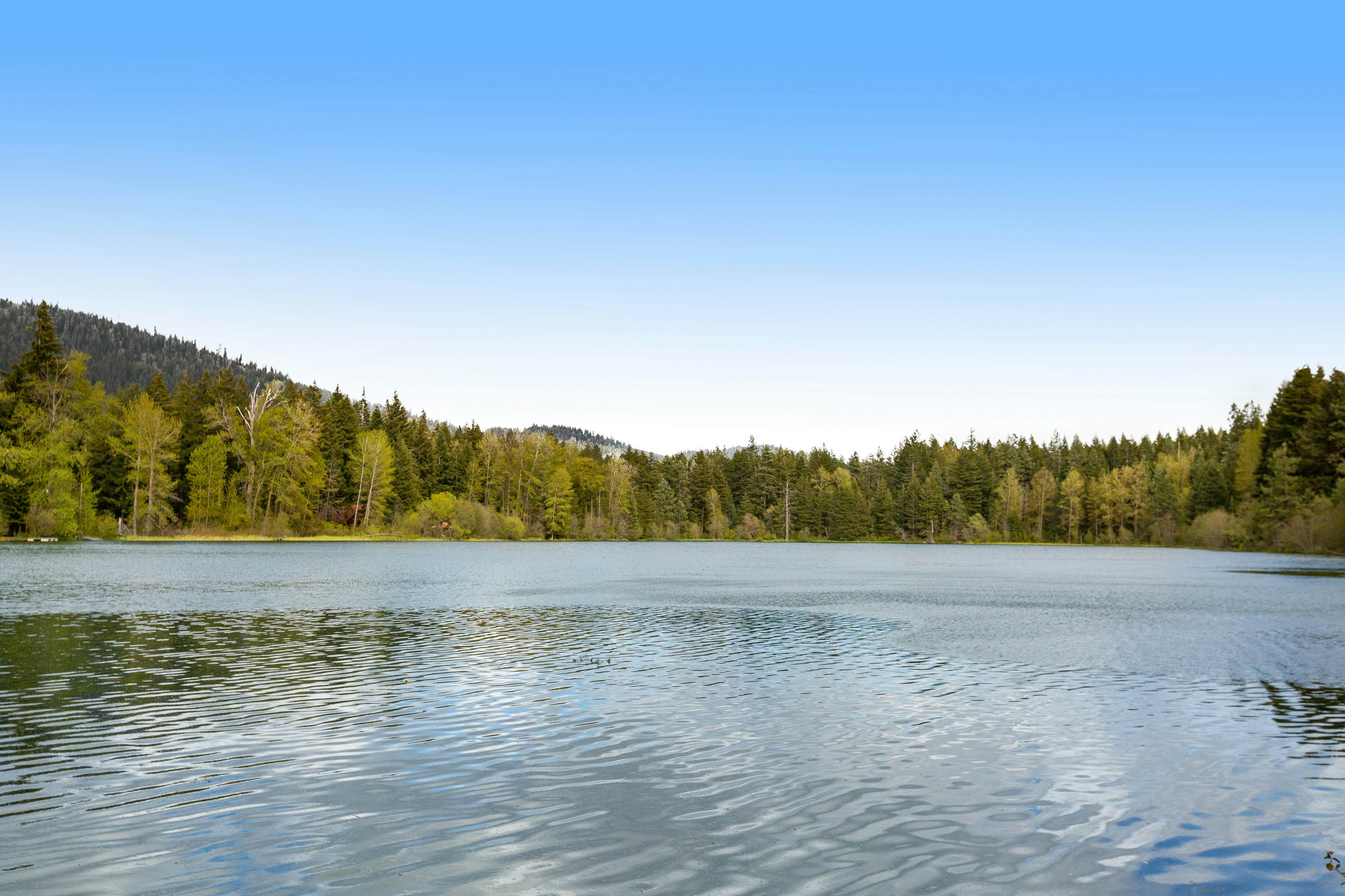 Riverfront Retreat at Lavender Lake