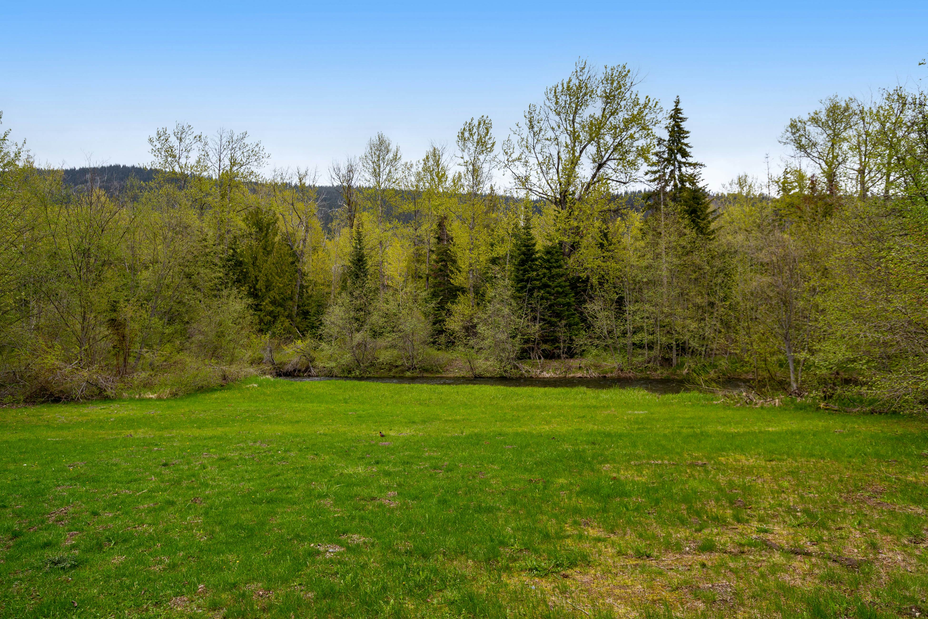 Riverfront Retreat at Lavender Lake