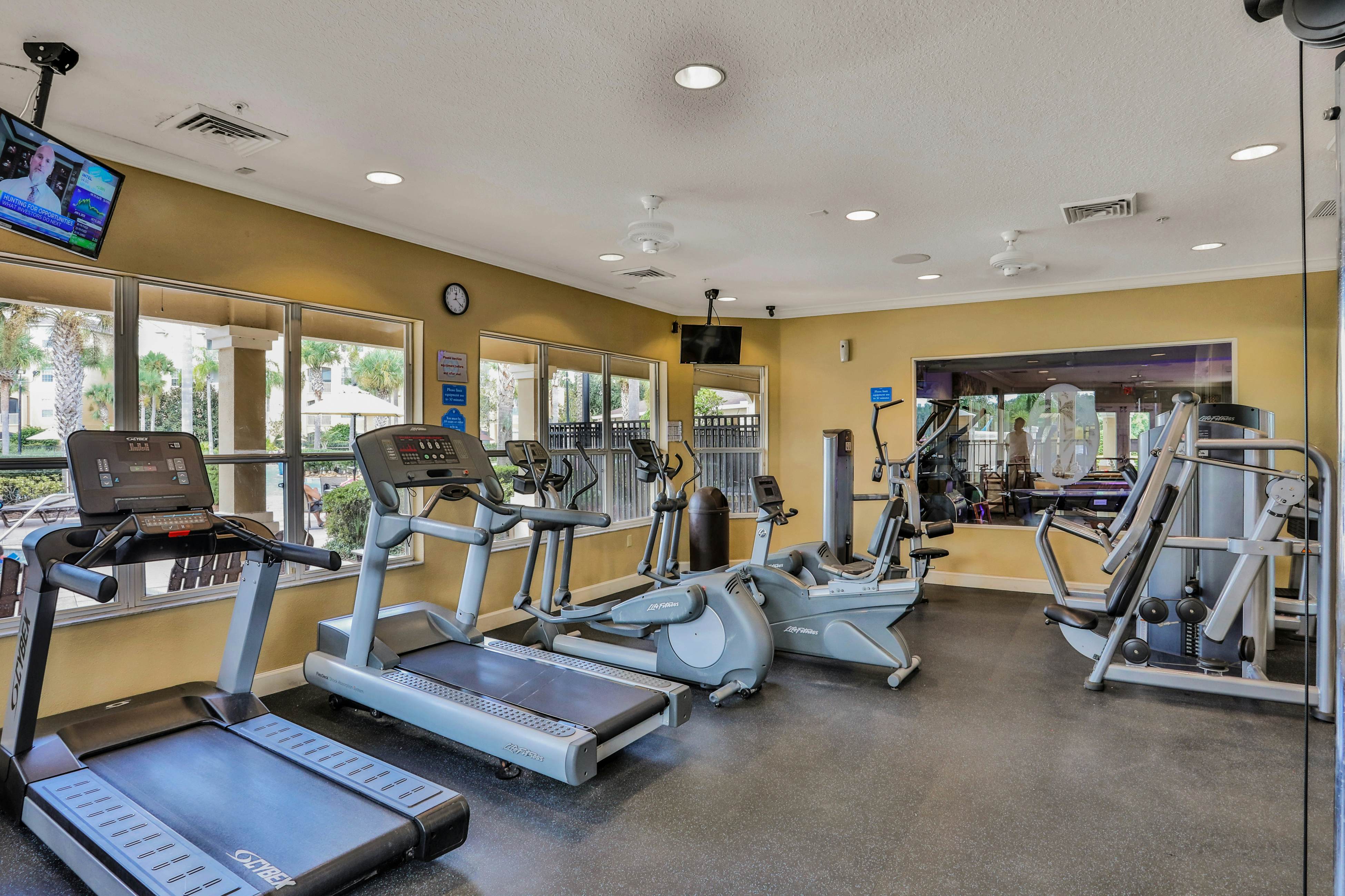 Yellow Starfish - Windsor Hills