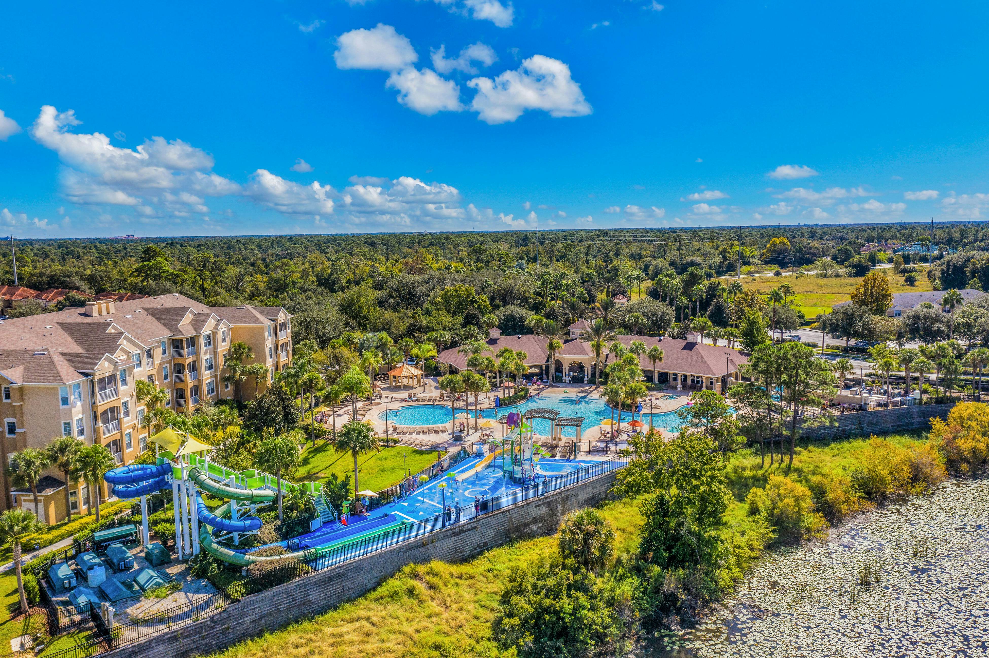 Yellow Starfish - Windsor Hills