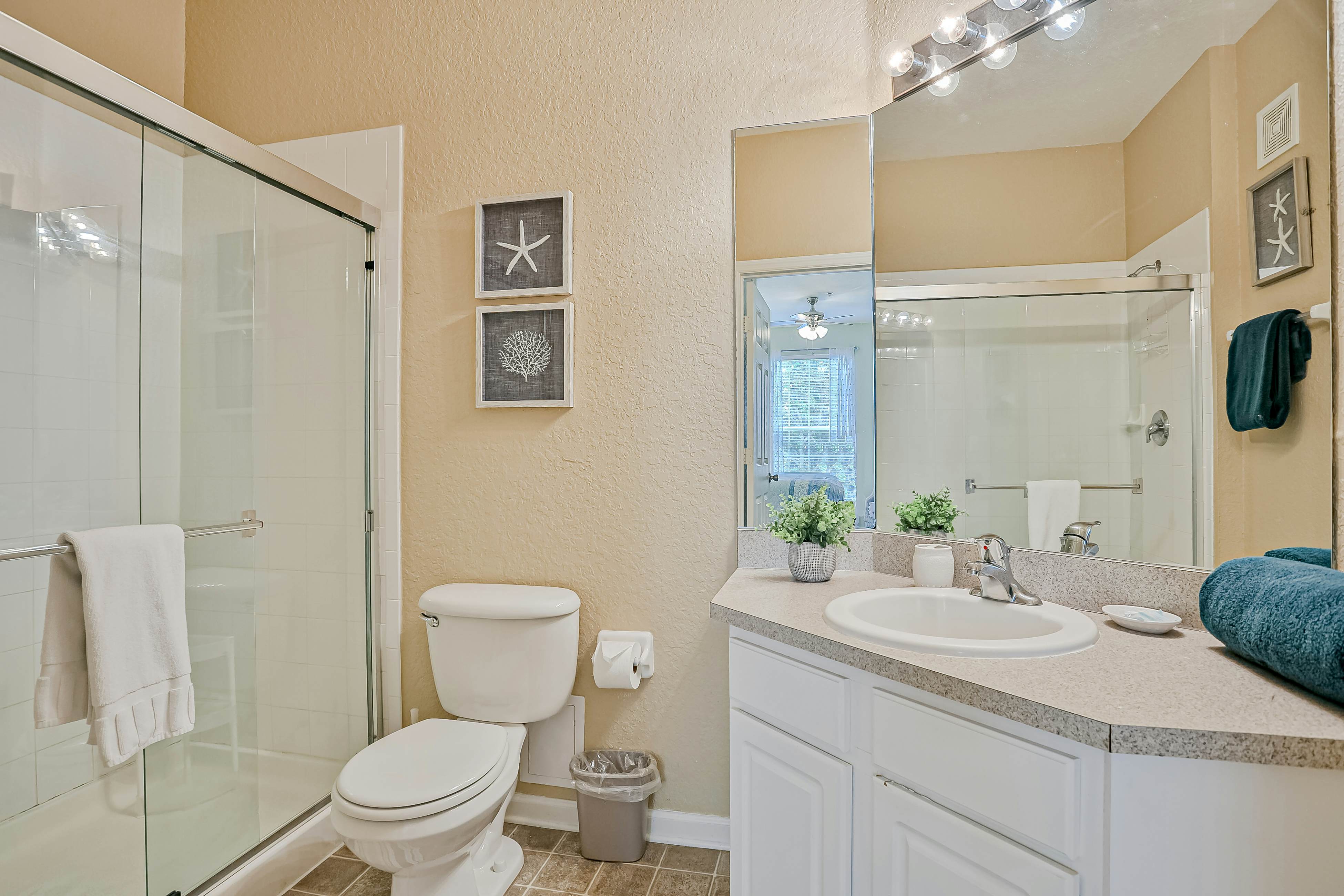 Yellow Starfish - Windsor Hills