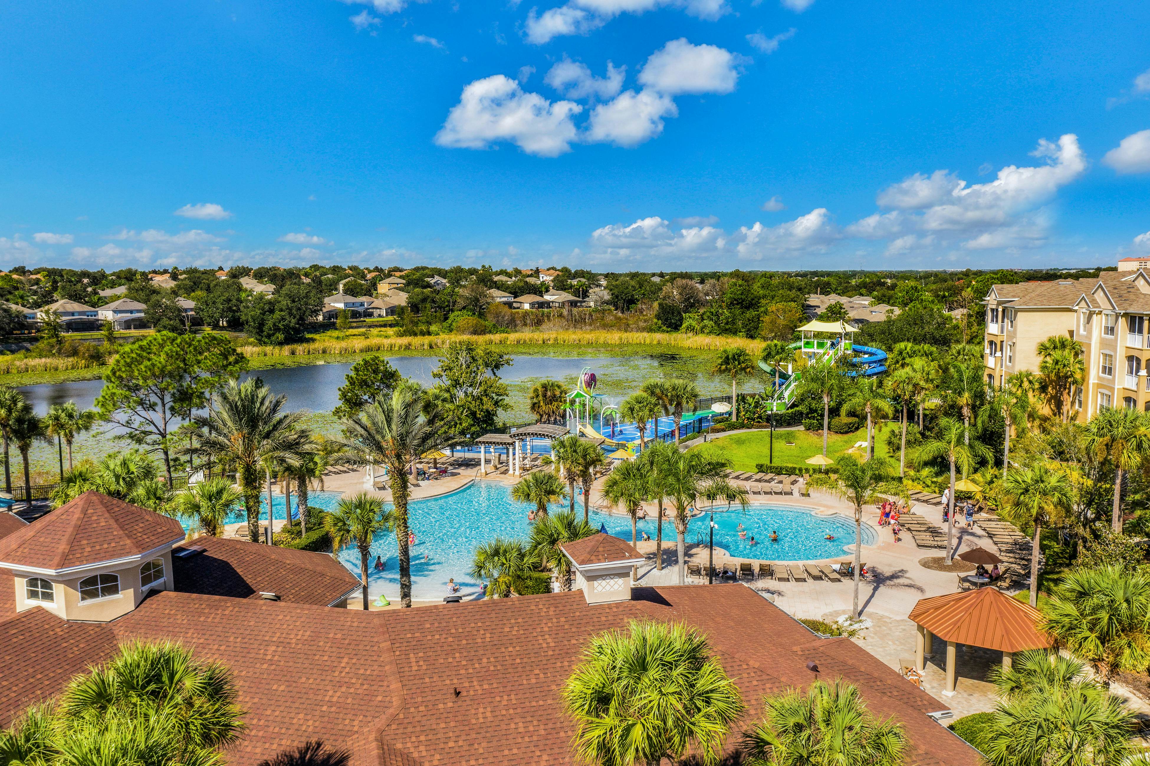 Yellow Starfish - Windsor Hills