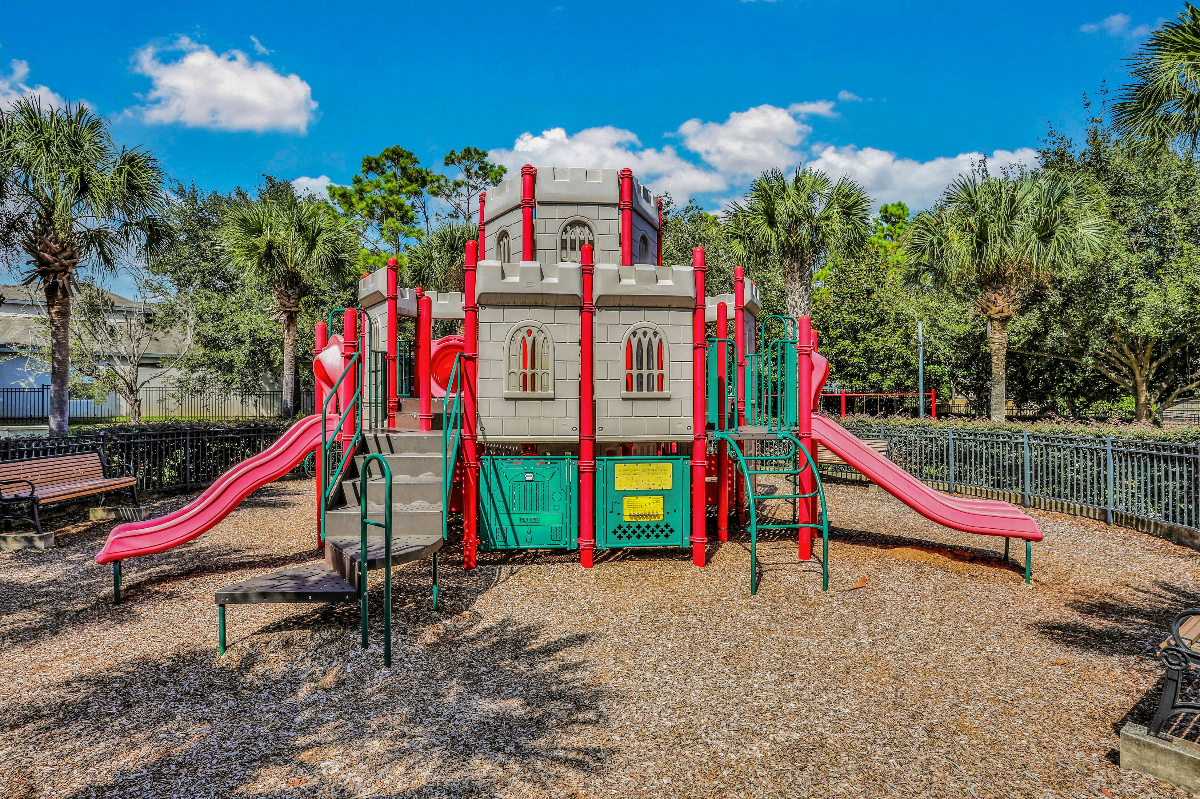 Yellow Starfish - Windsor Hills