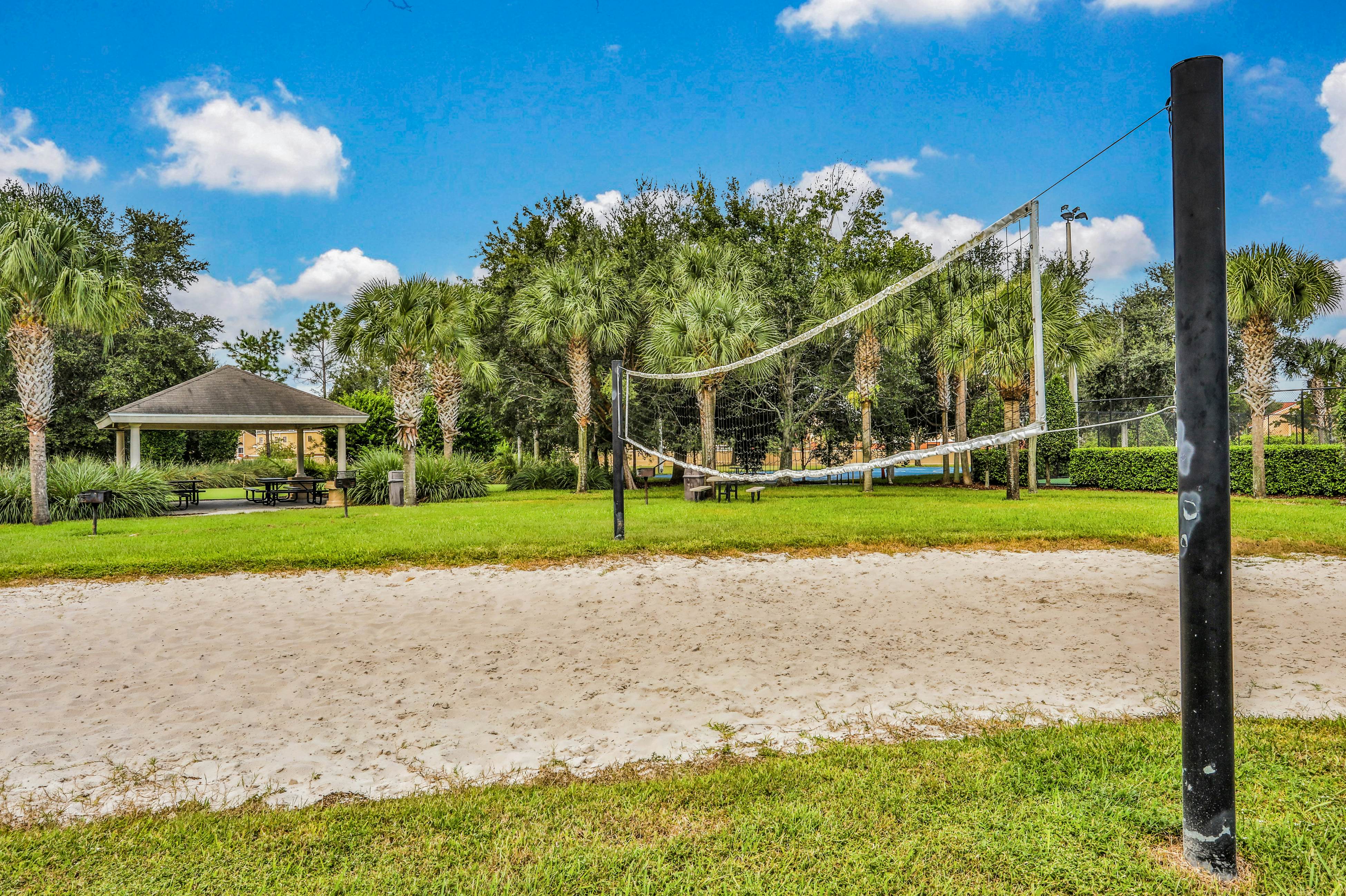 Yellow Starfish - Windsor Hills