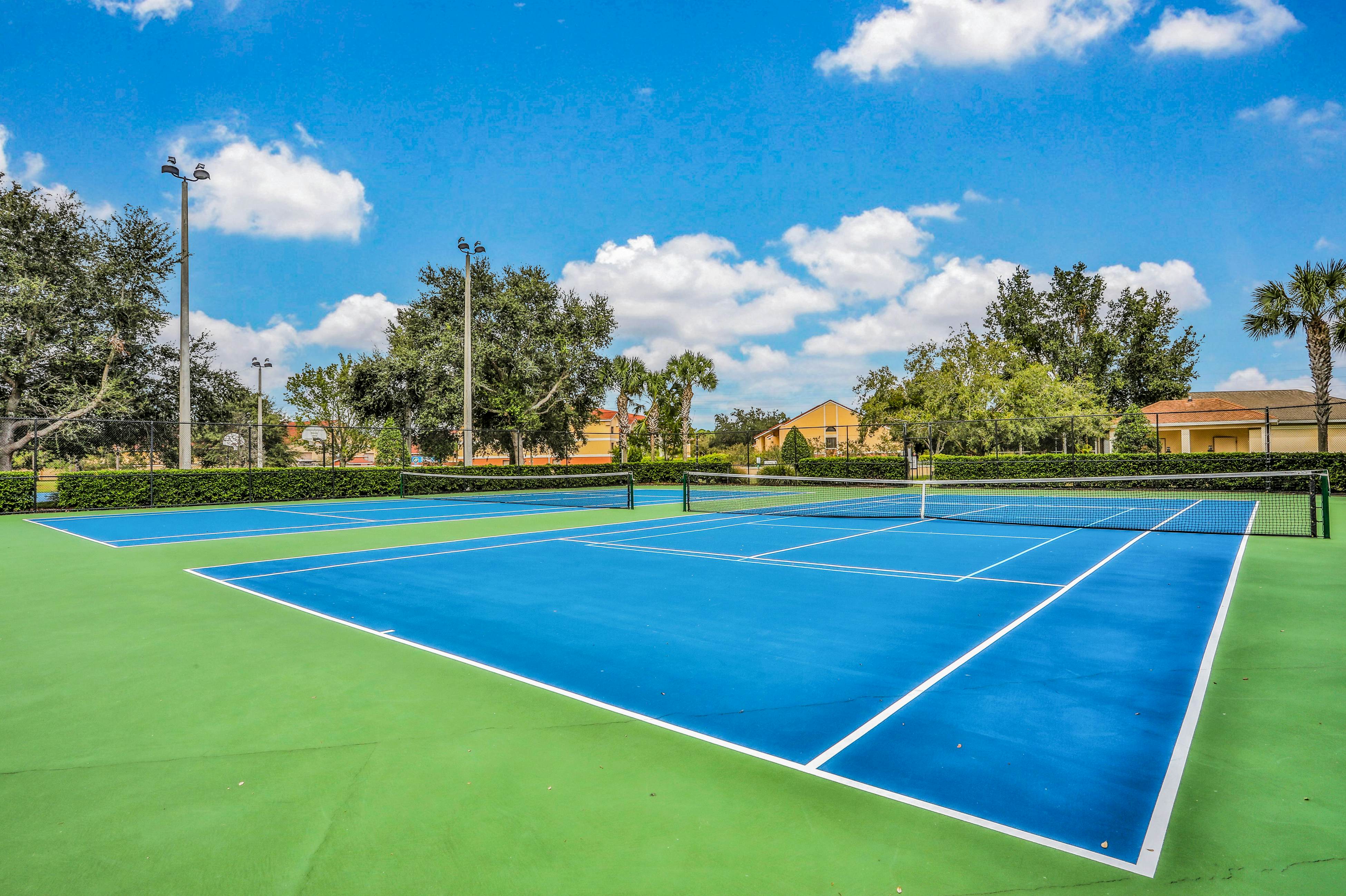 Yellow Starfish - Windsor Hills