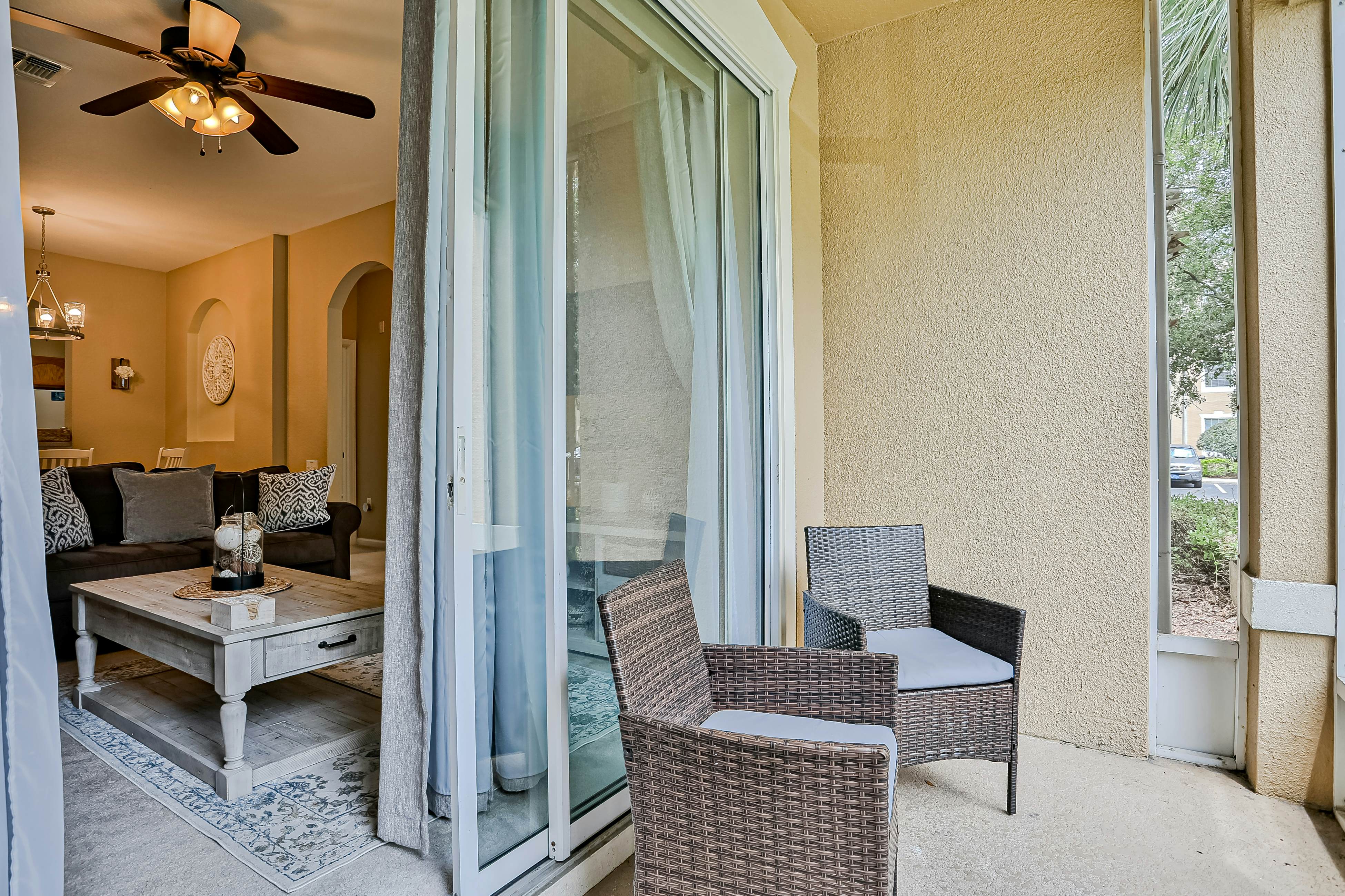 Yellow Starfish - Windsor Hills