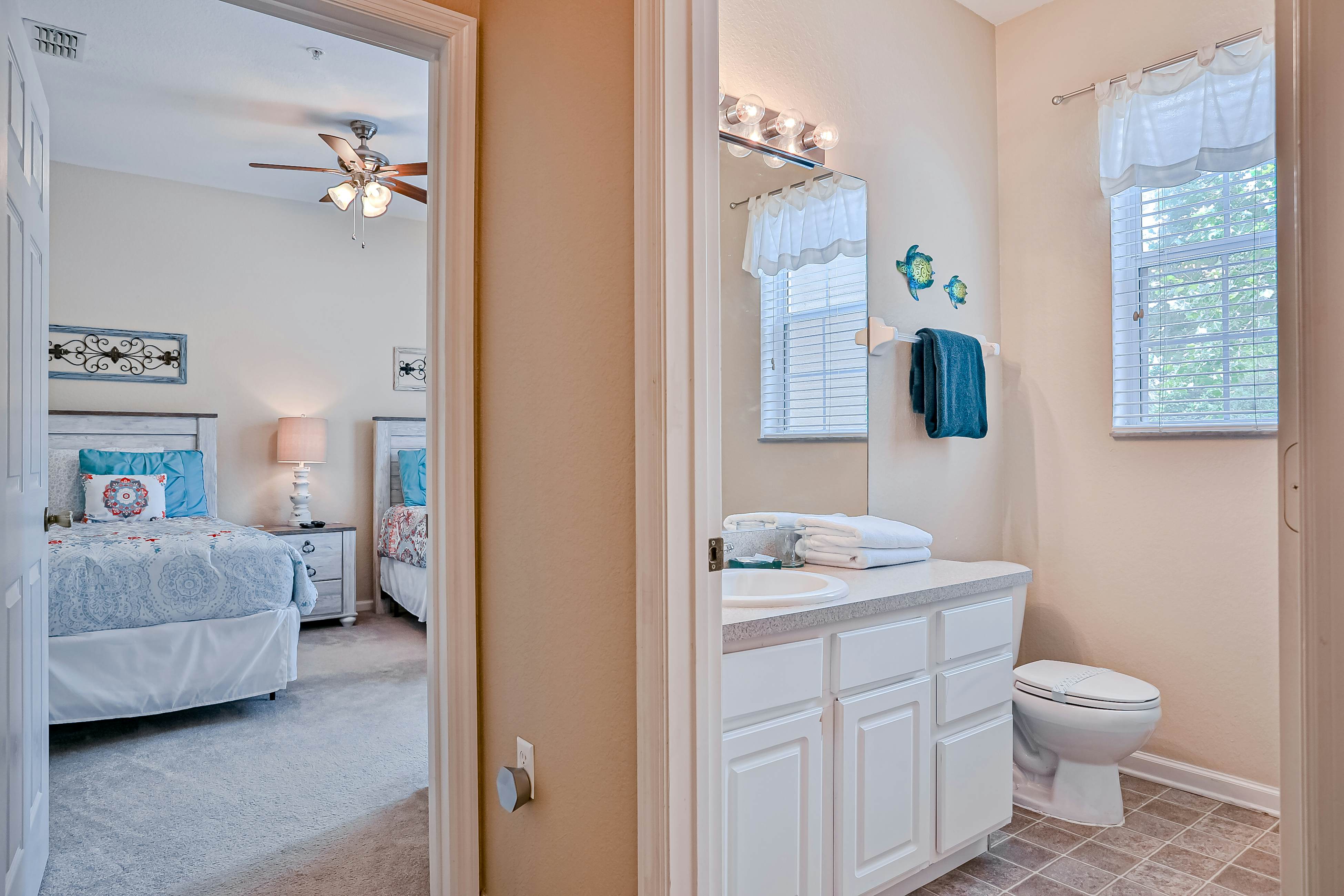 Yellow Starfish - Windsor Hills