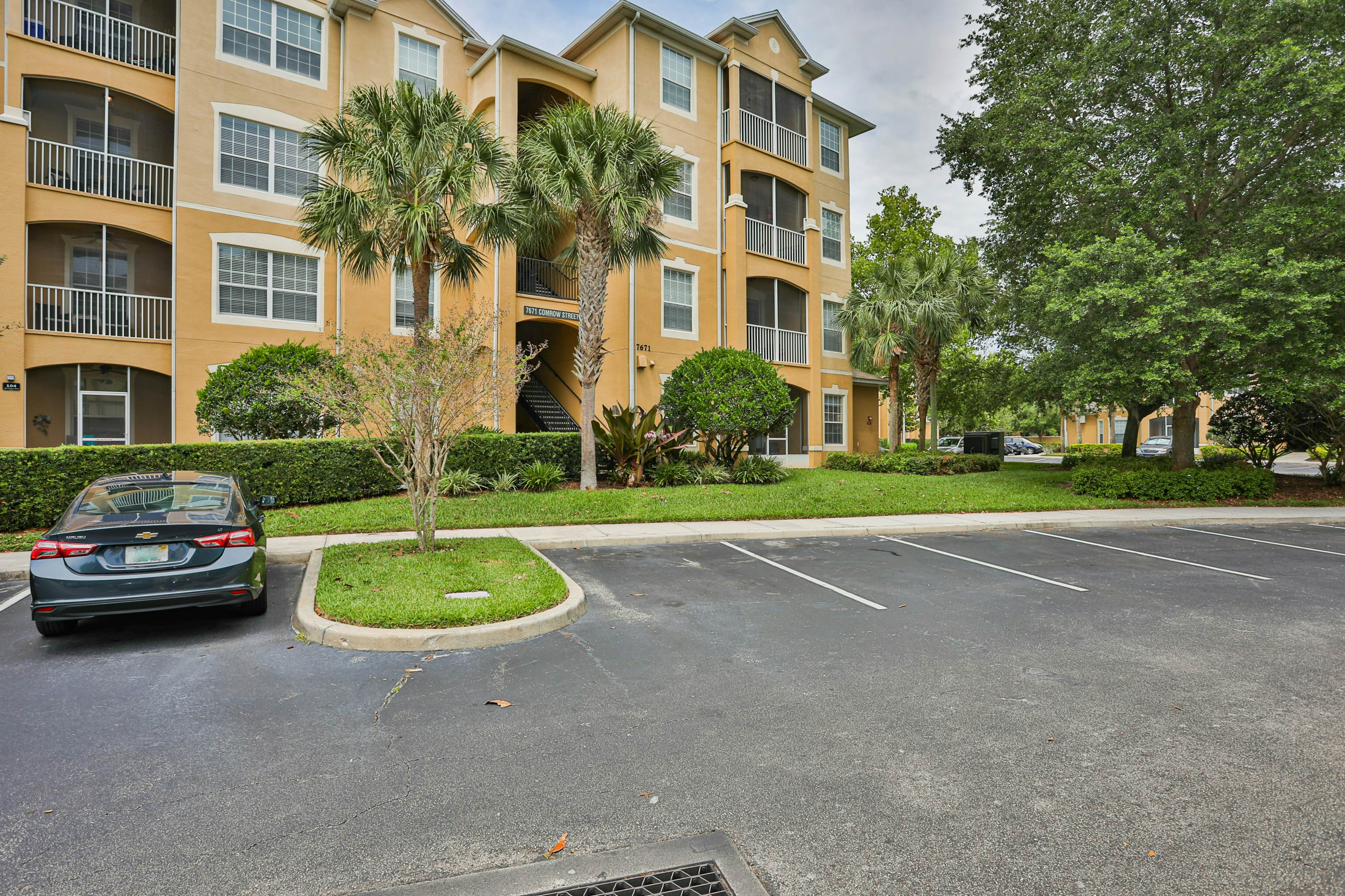 Yellow Starfish - Windsor Hills