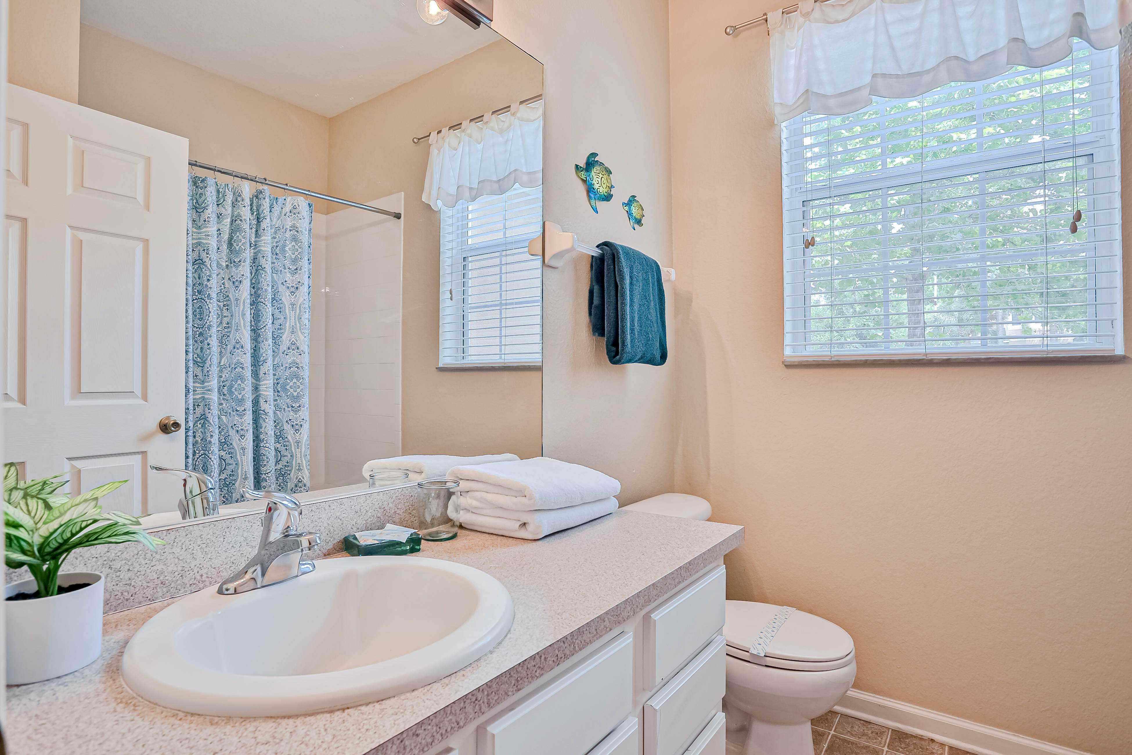 Yellow Starfish - Windsor Hills