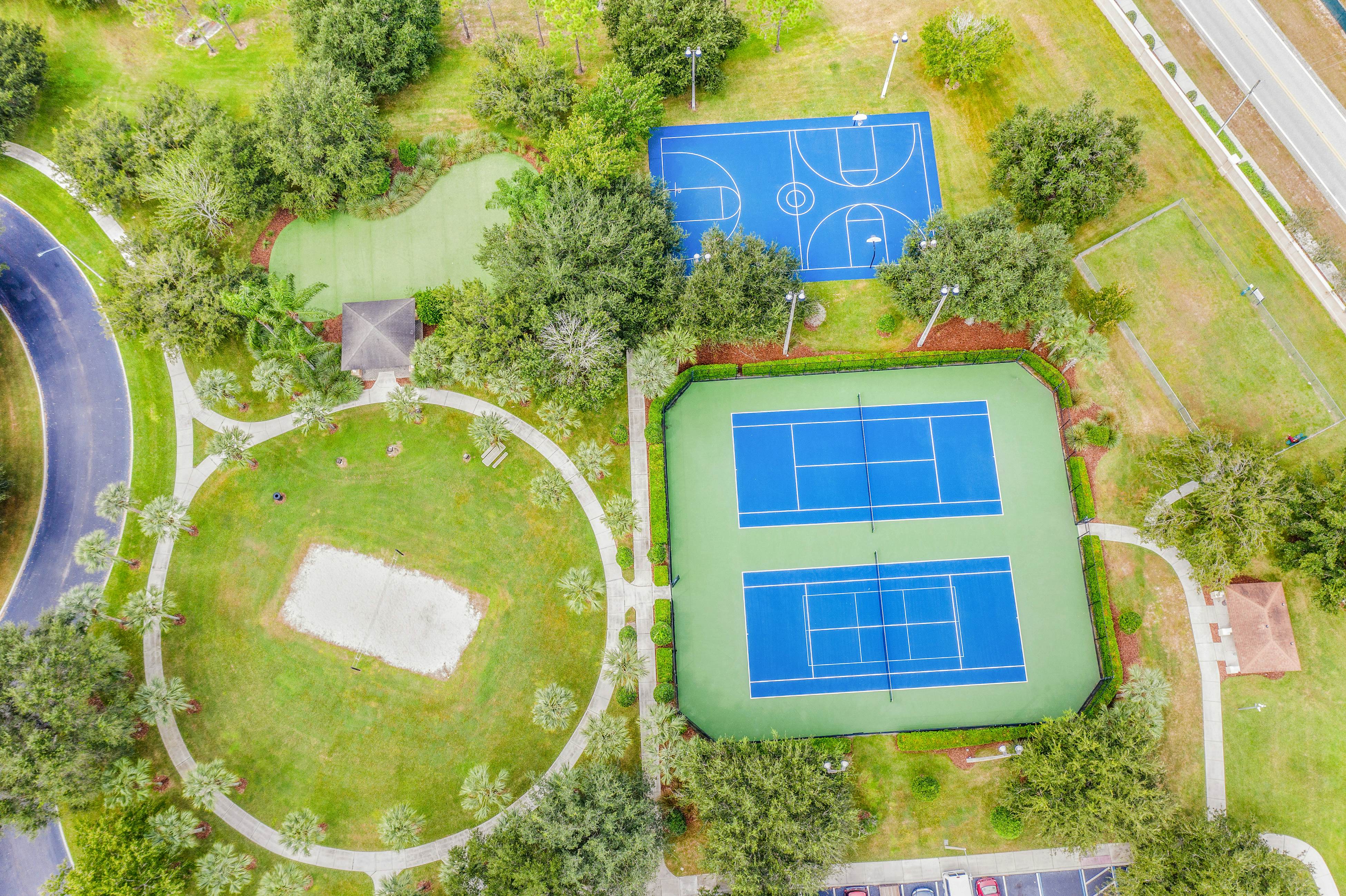 Yellow Starfish - Windsor Hills