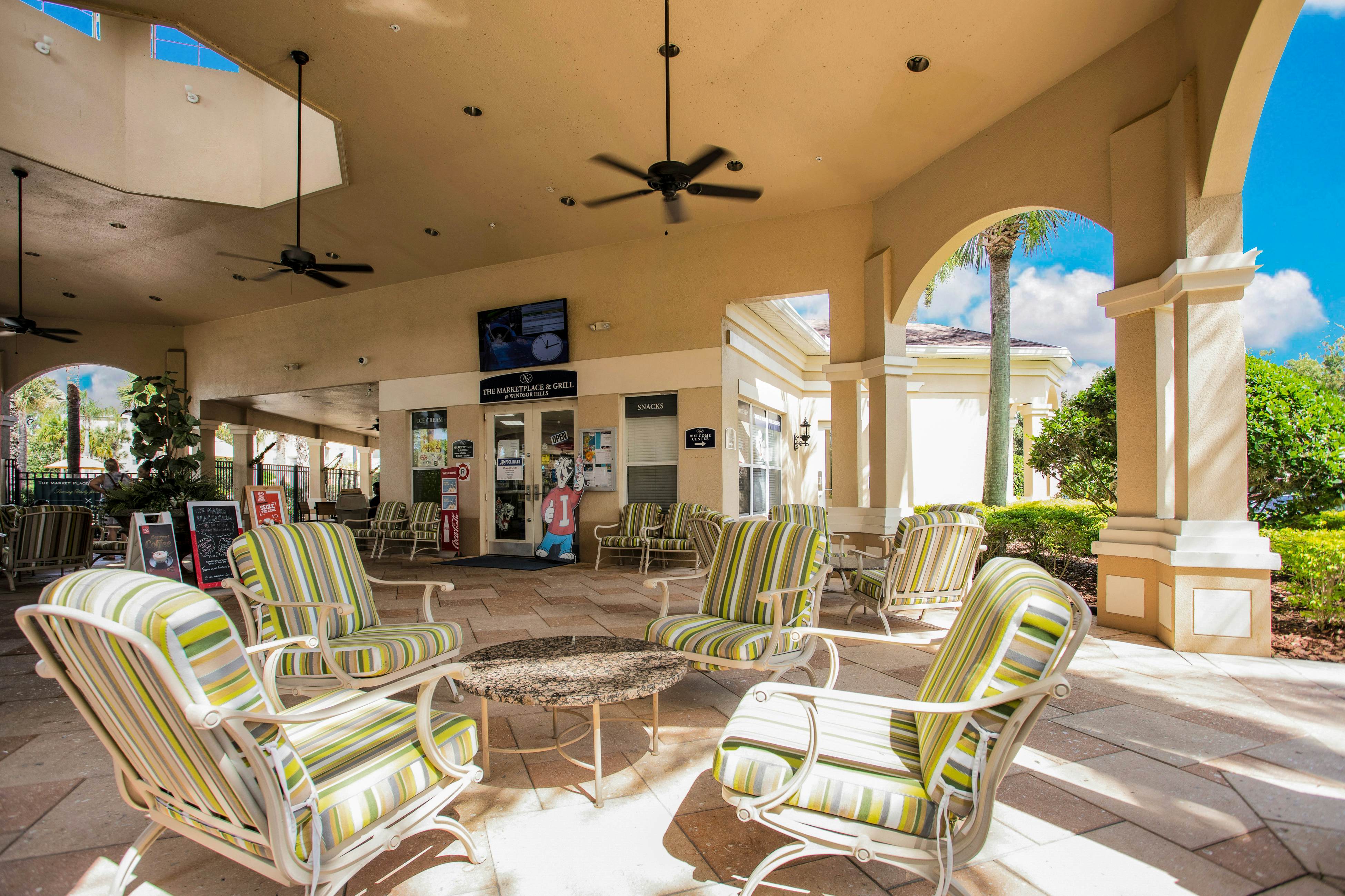 Yellow Starfish - Windsor Hills