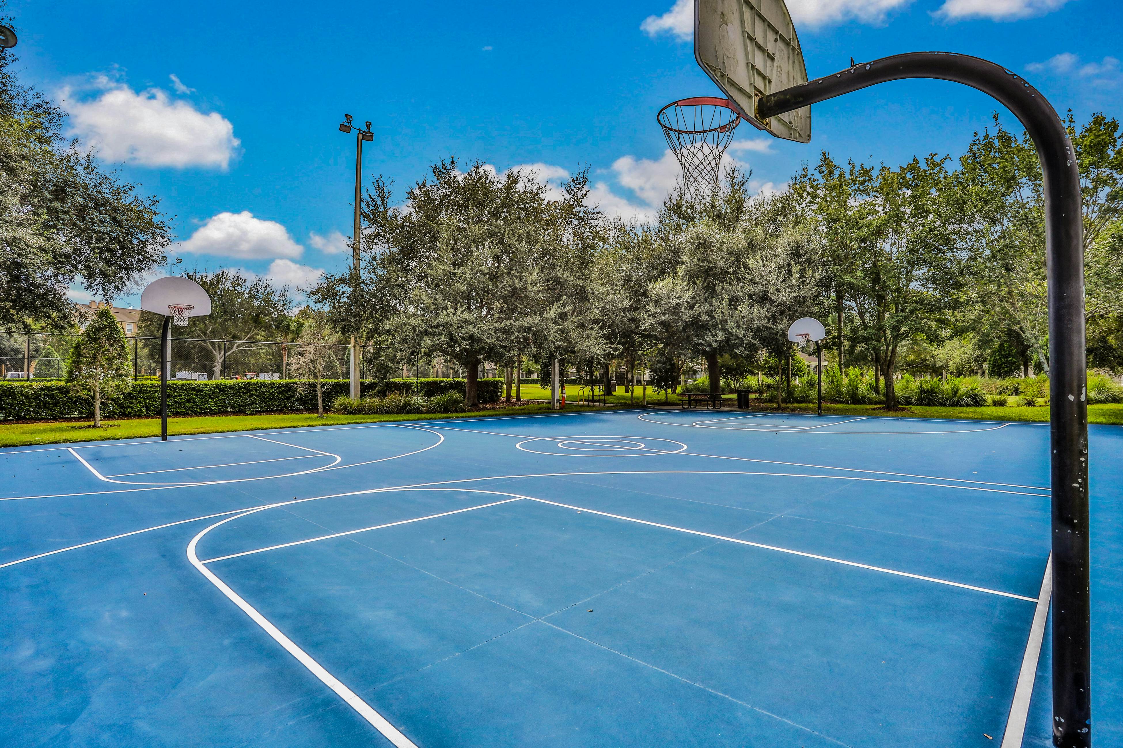 Yellow Starfish - Windsor Hills