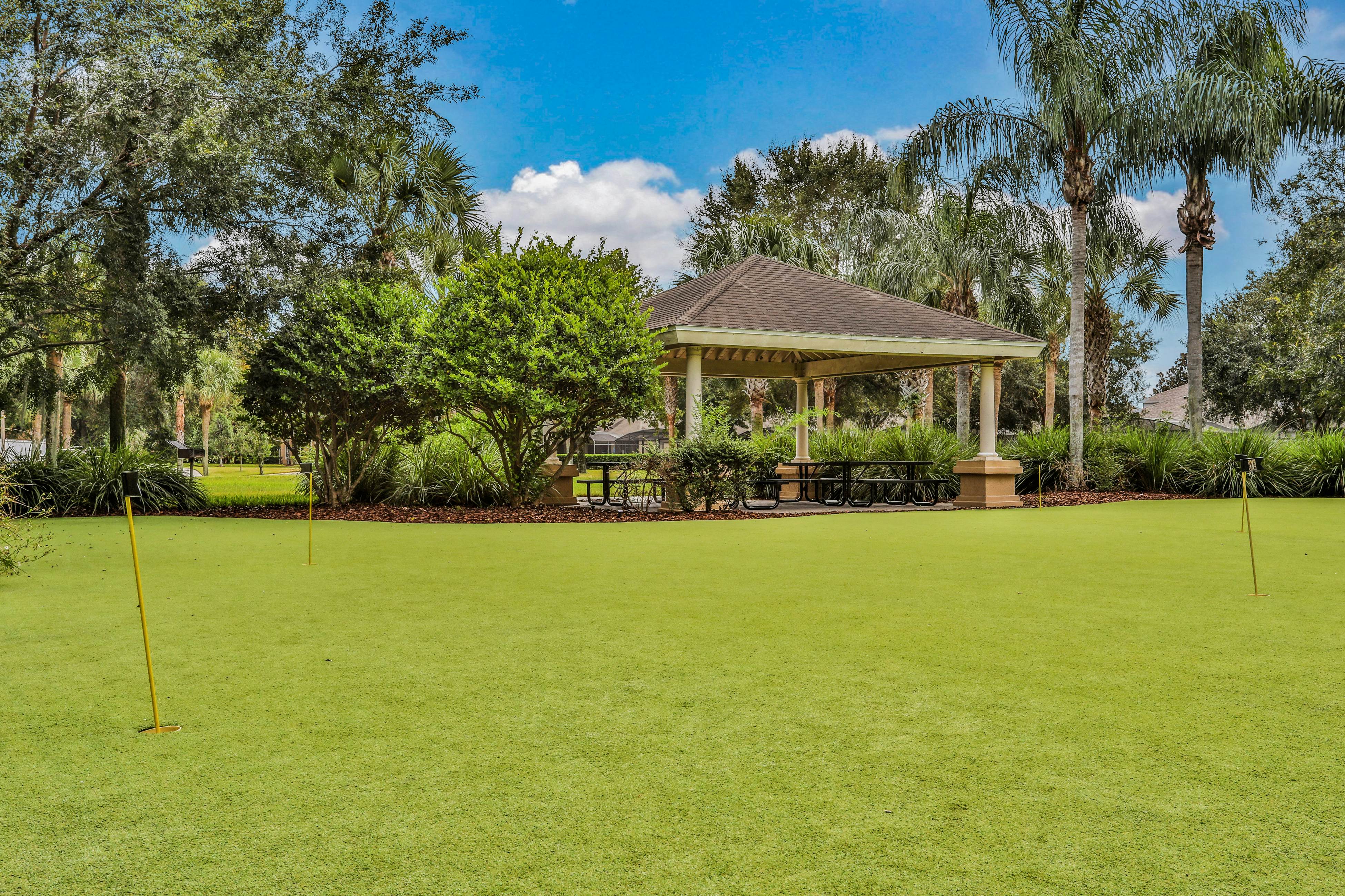 Yellow Starfish - Windsor Hills