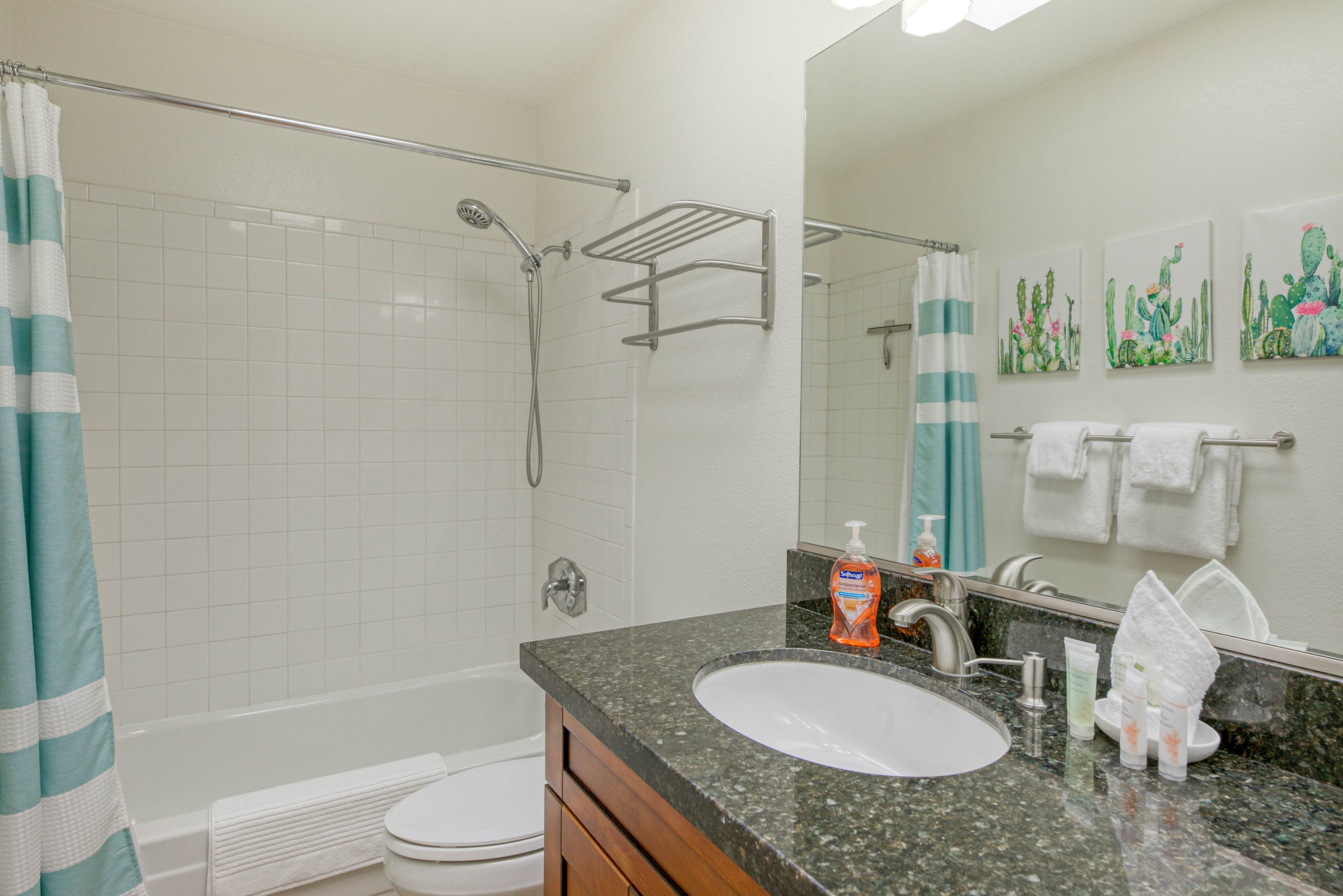 South Mountain Saguaro Siesta