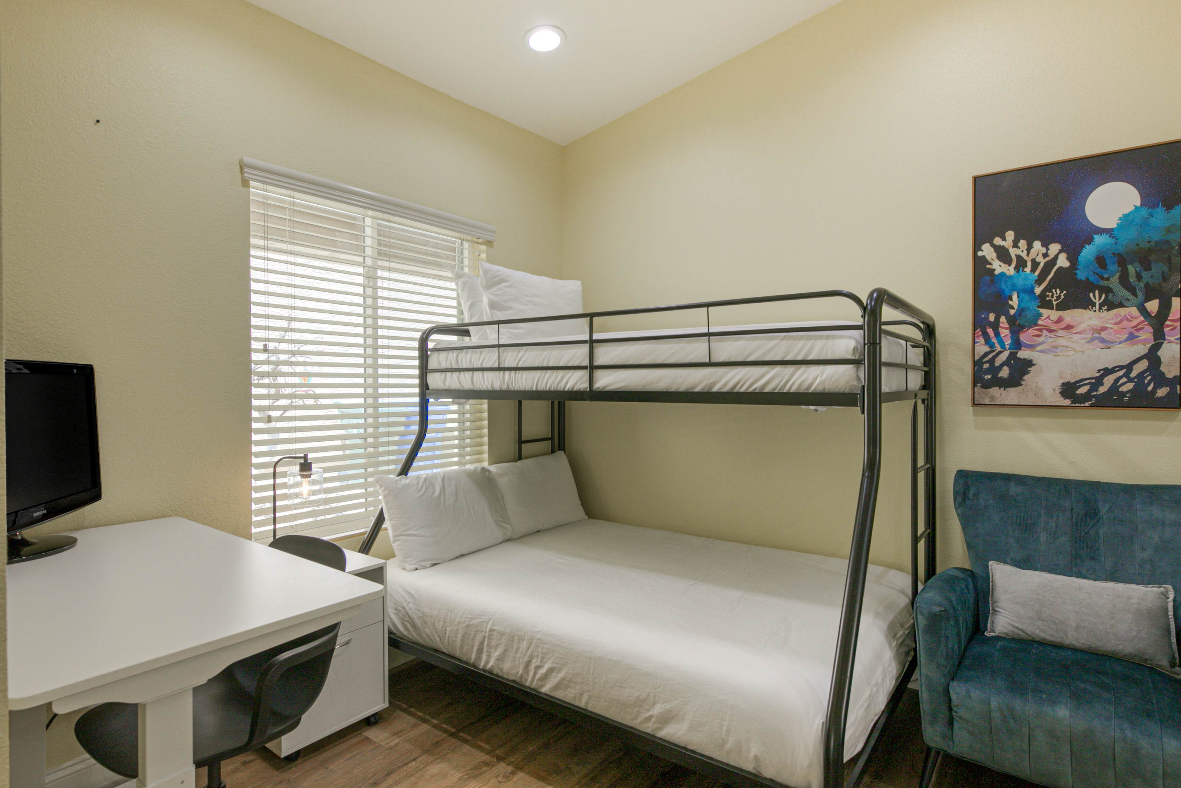 South Mountain Saguaro Siesta