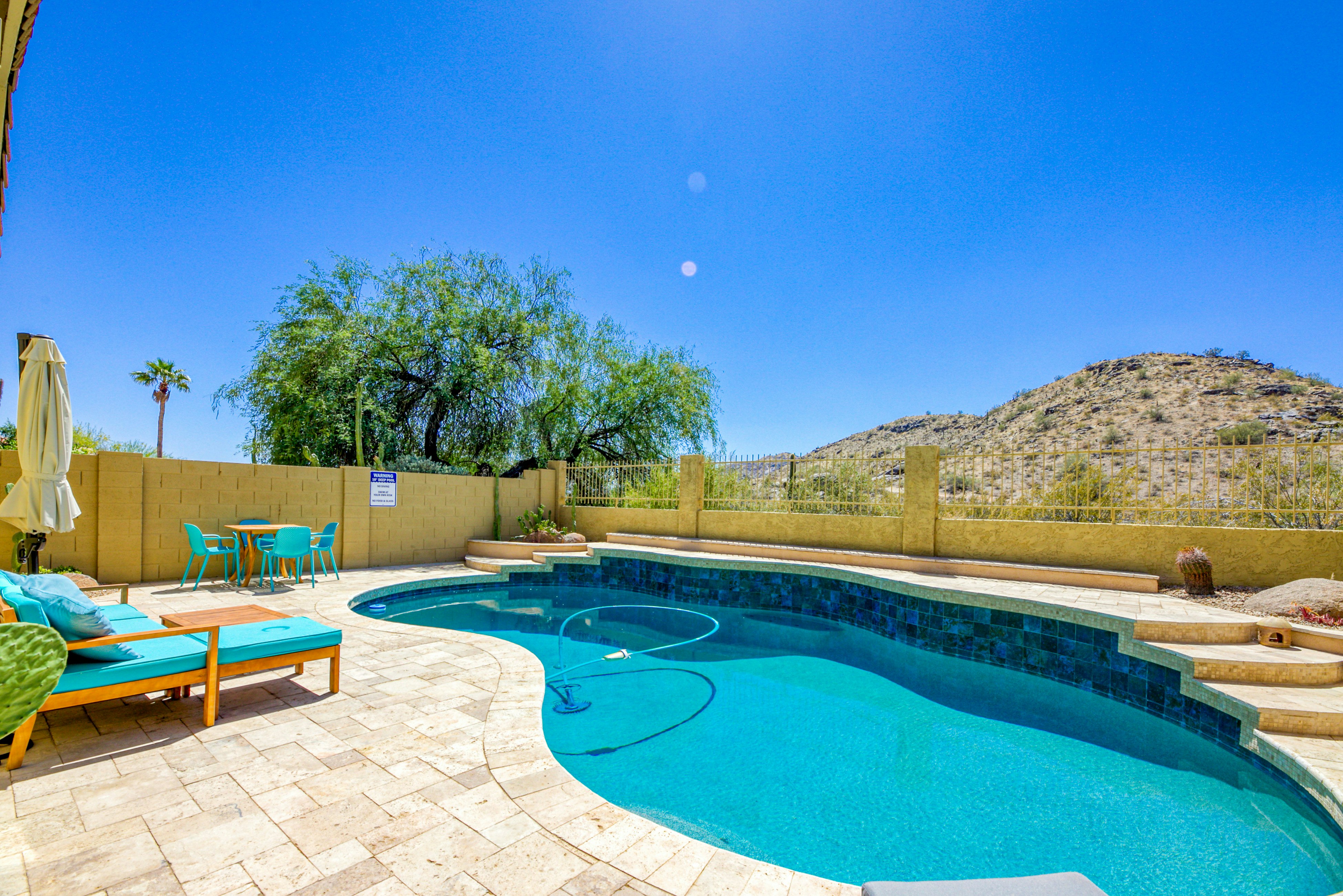 South Mountain Saguaro Siesta