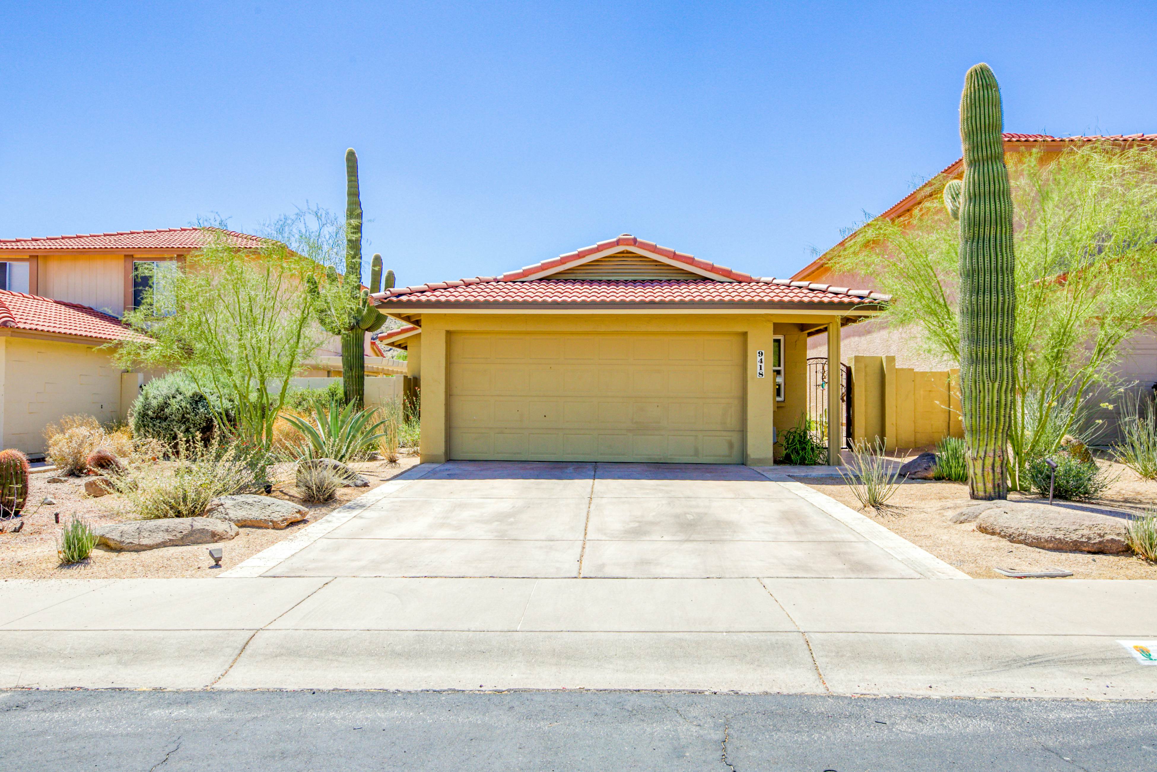 South Mountain Saguaro Siesta