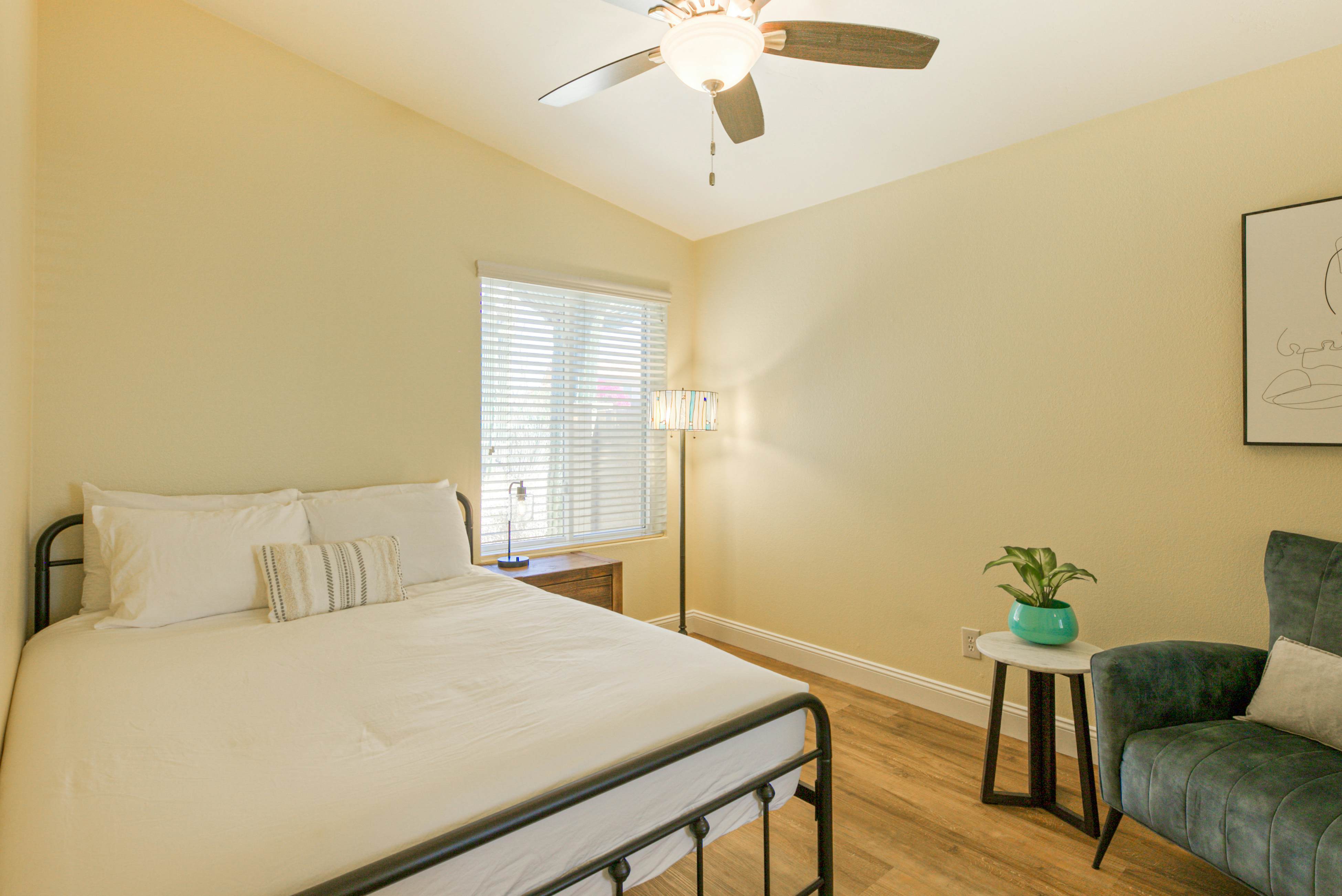 South Mountain Saguaro Siesta