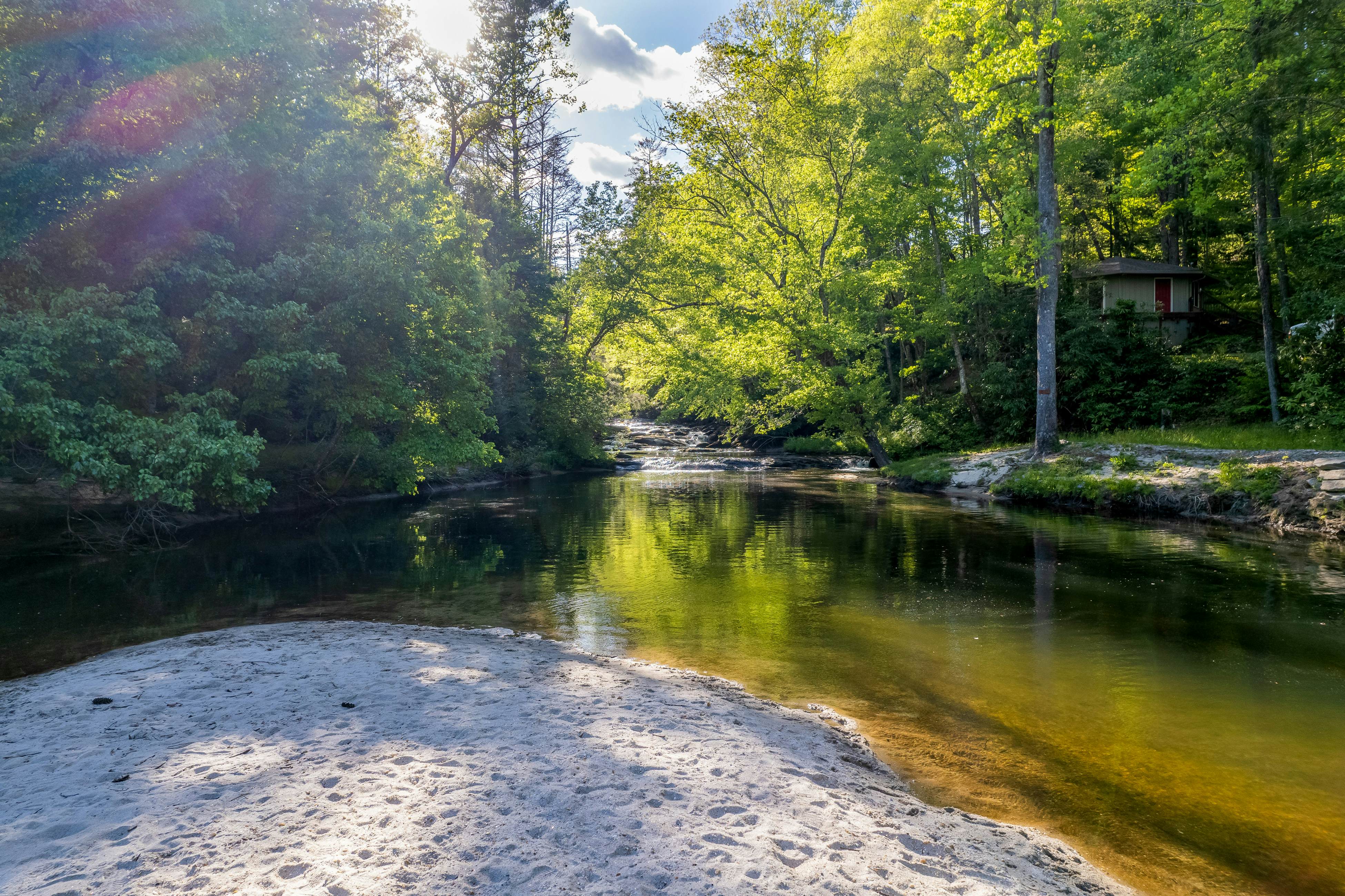 Whispering Woods Retreat