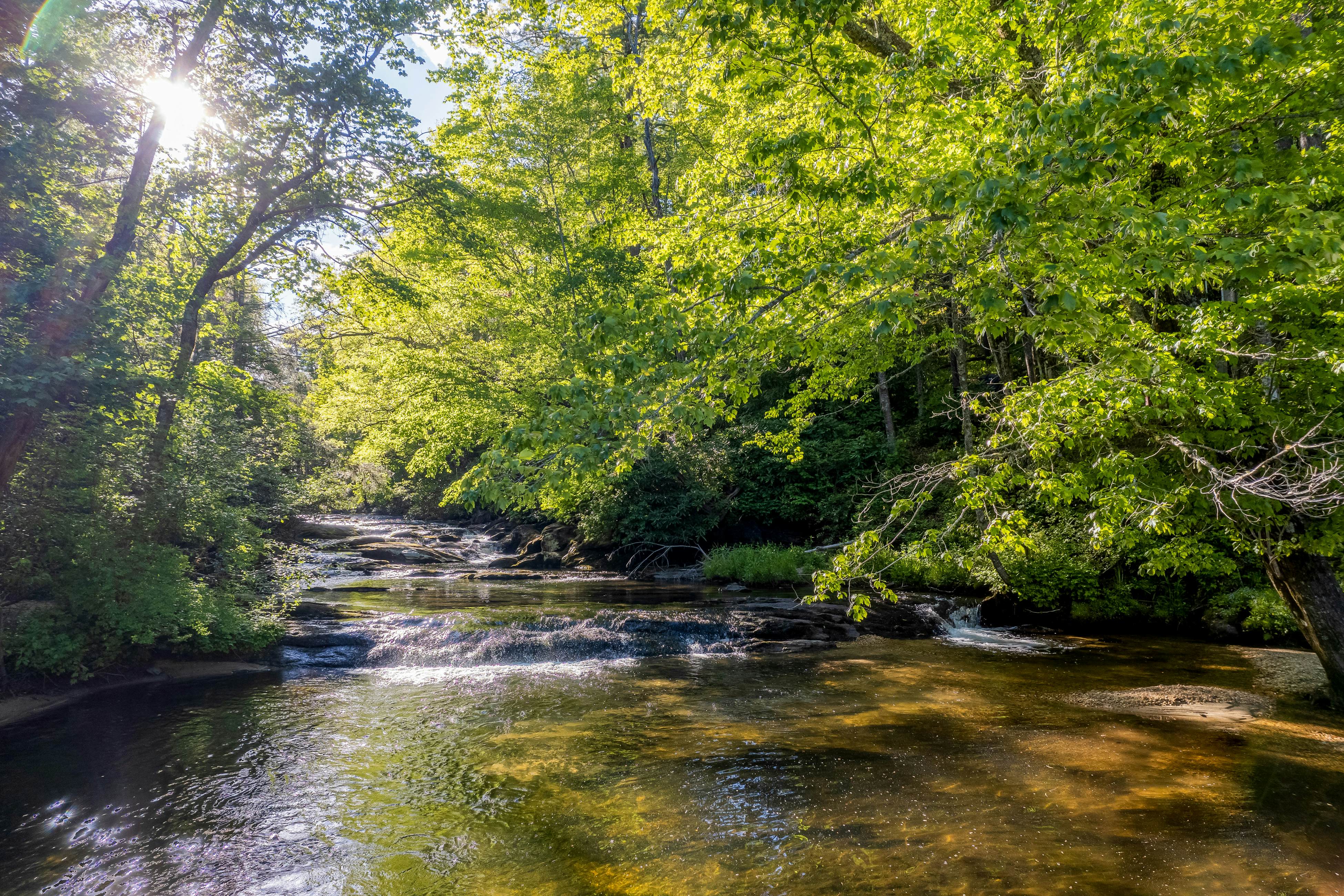 Whispering Woods Retreat