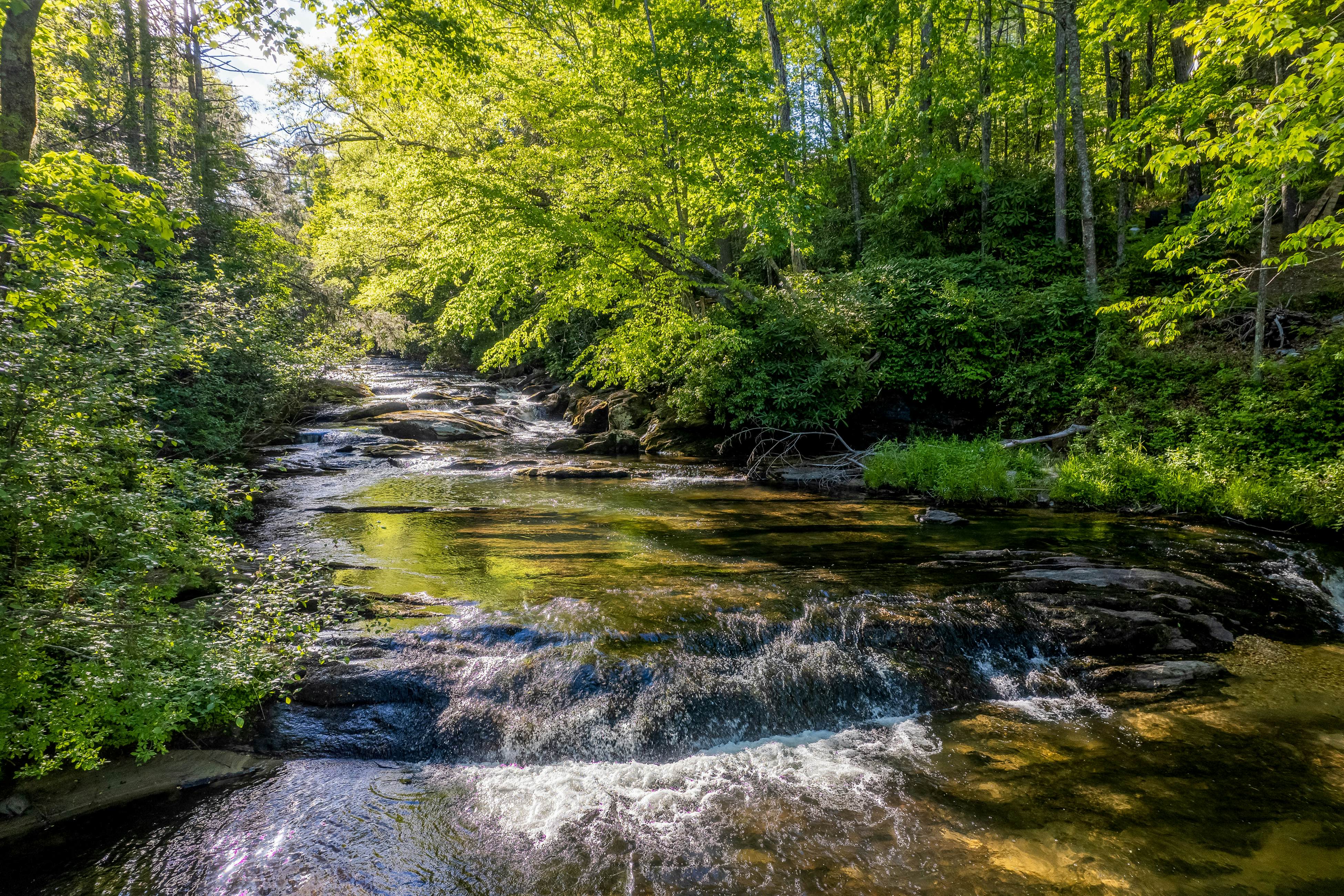 Whispering Woods Retreat