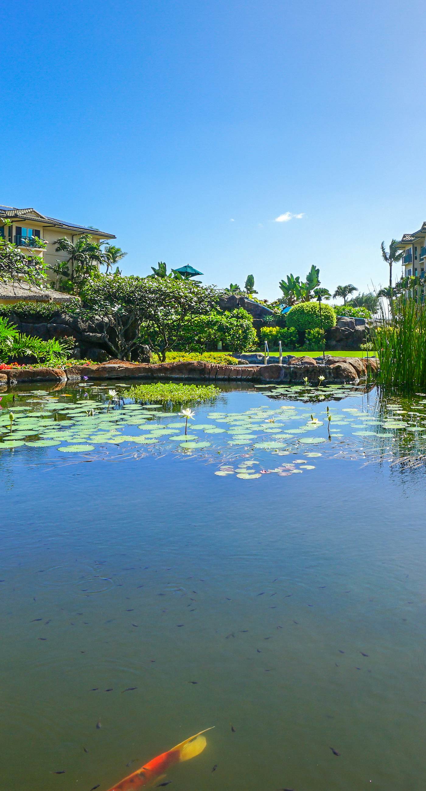 Waipouli Beach Resort G307