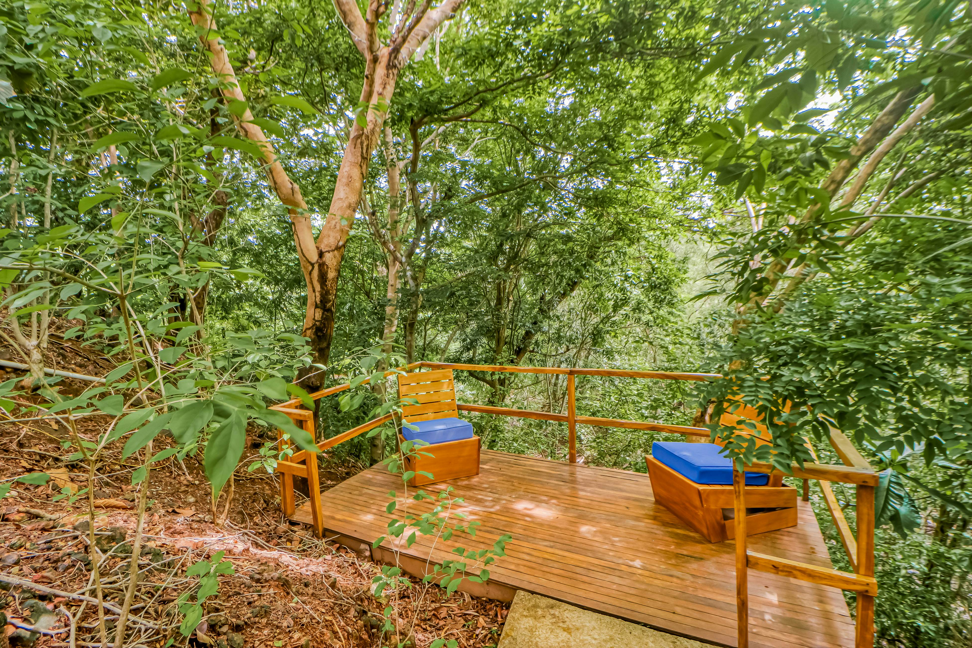 Casa Mimosa Buenavista