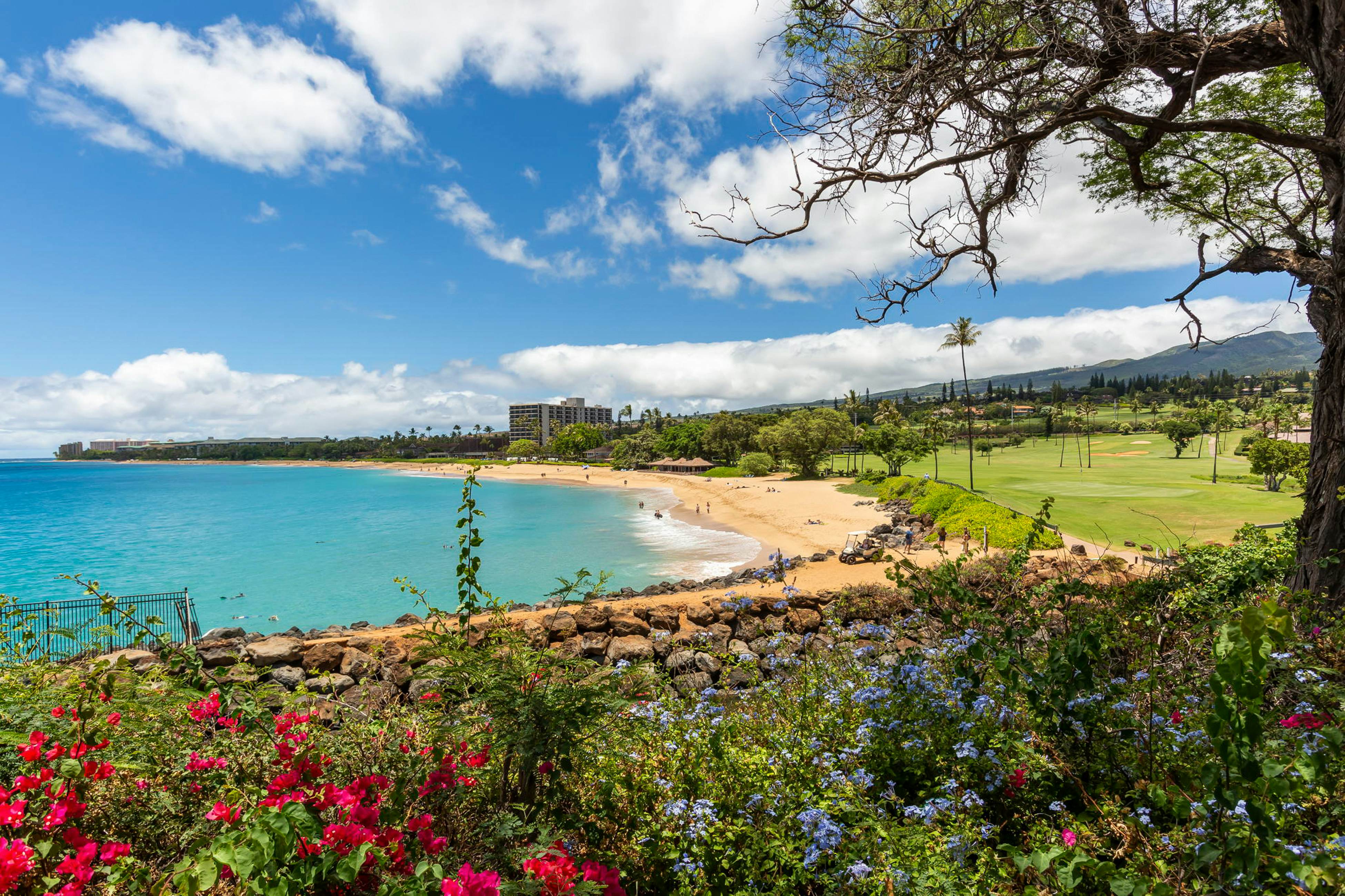 Maui Eldorado Resort A208