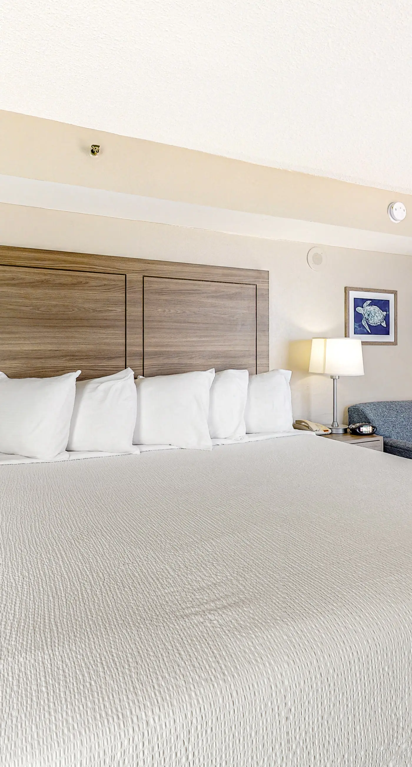 The Patricia Grand 1026