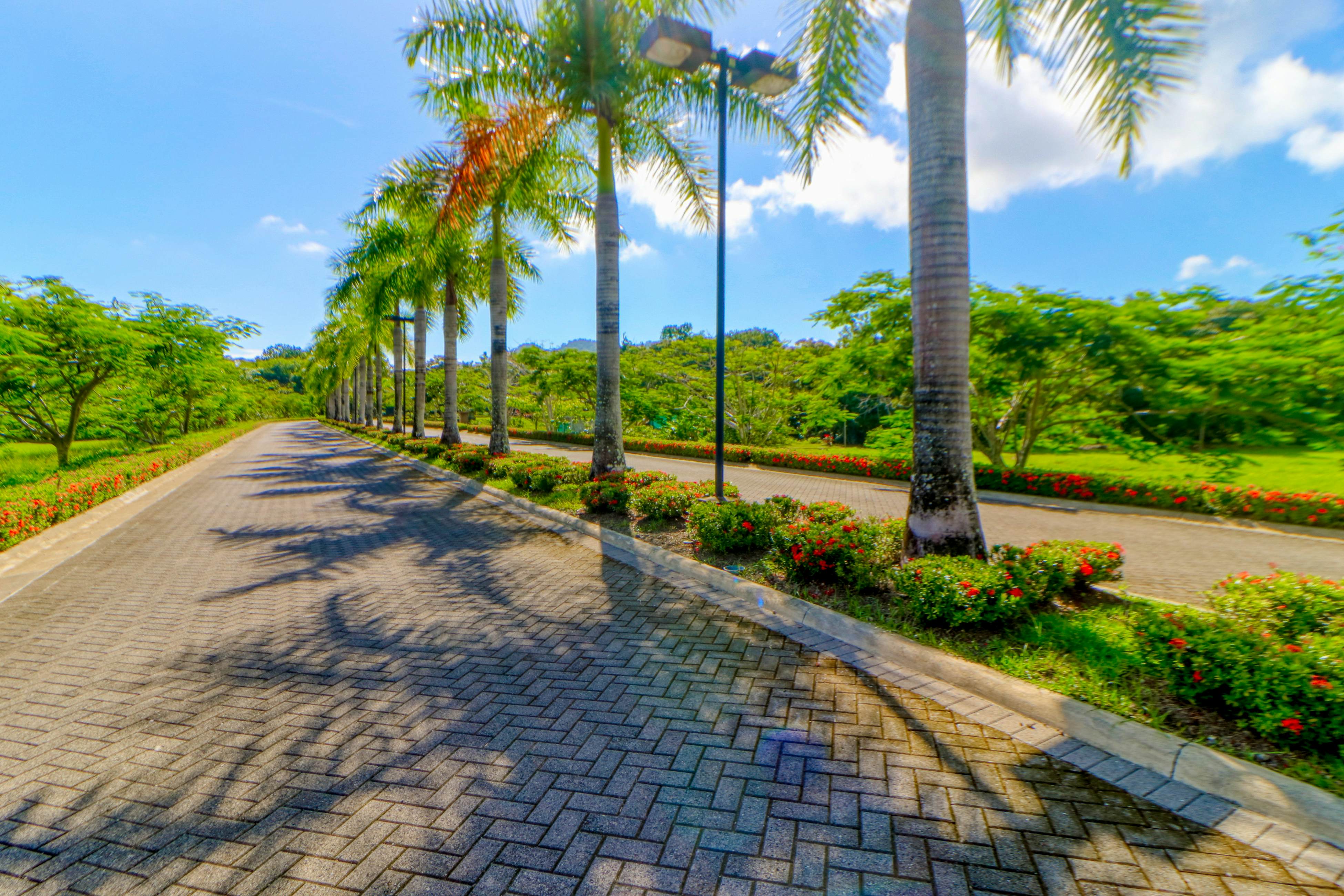 Altos de Montserrat 2  1