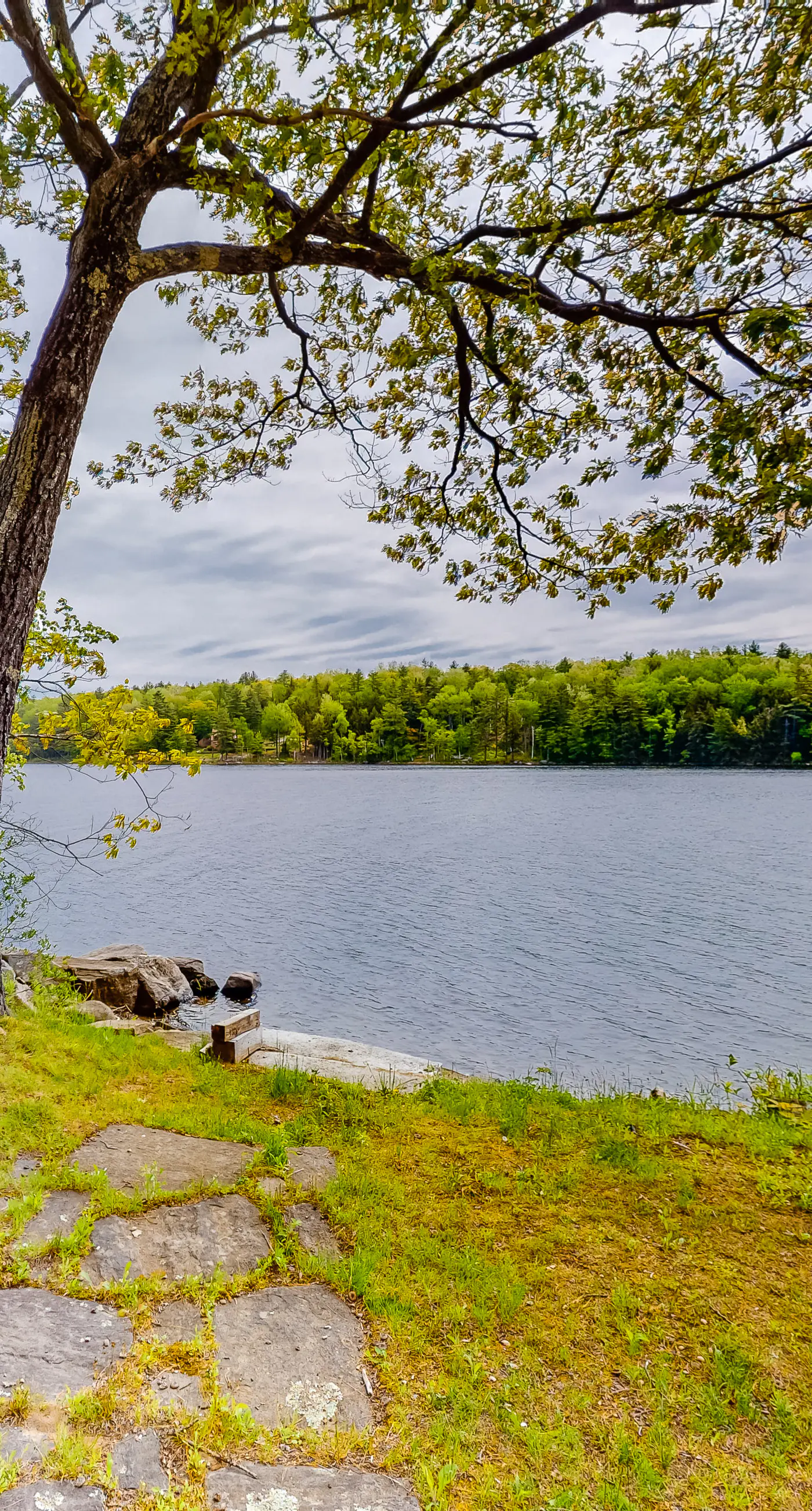 Long Pond Camp