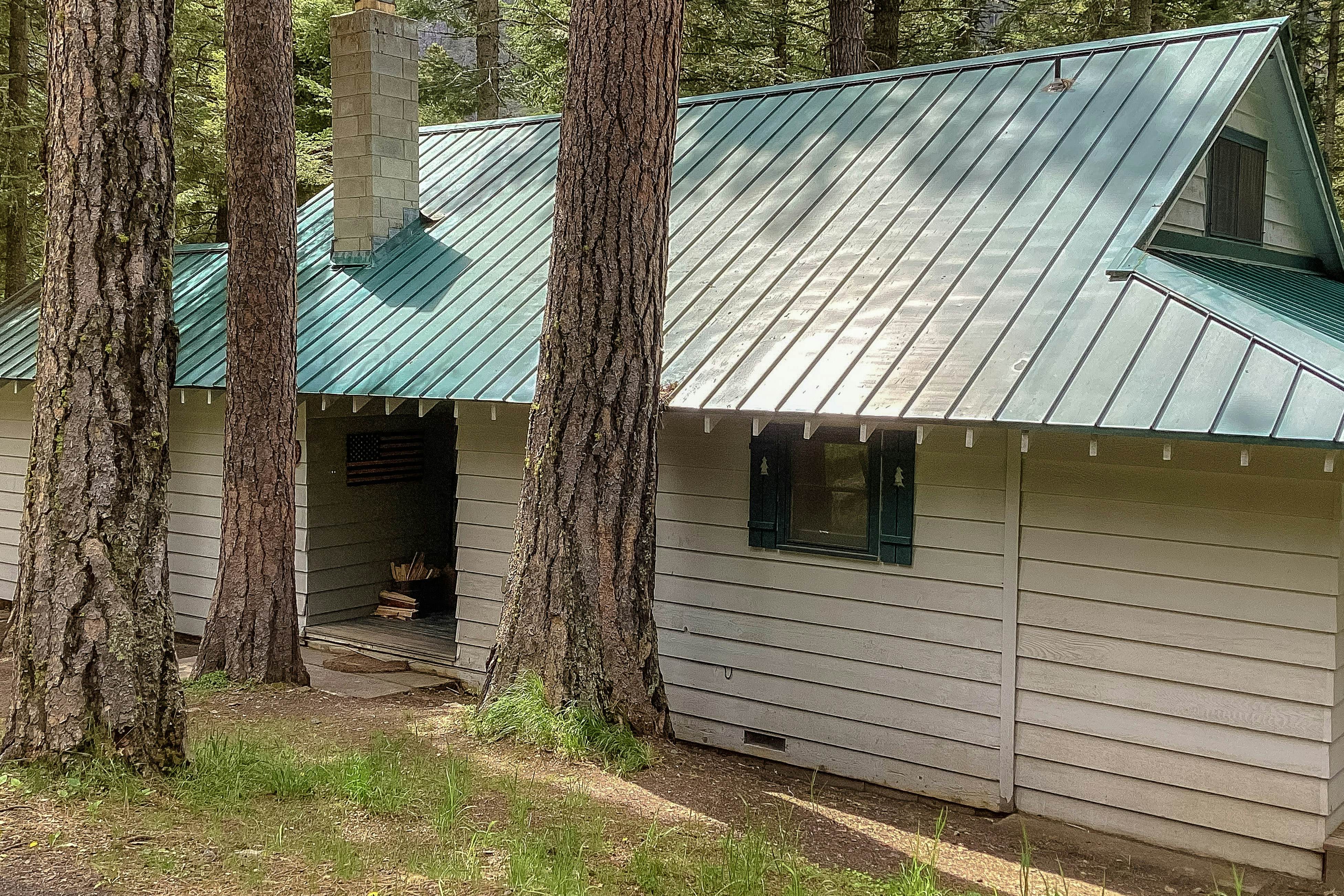 Cabin in the Pines