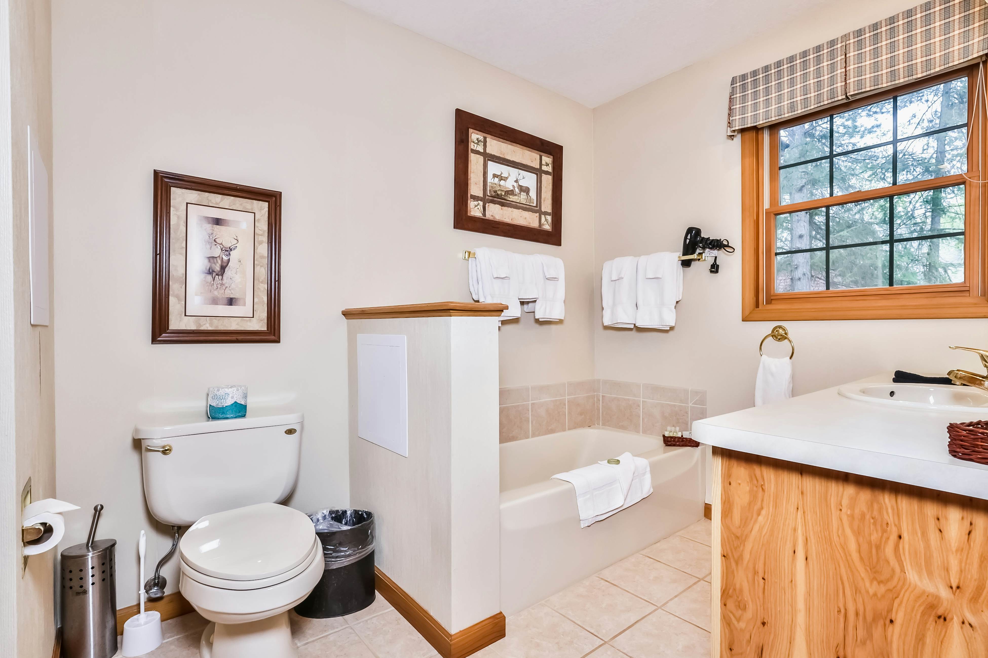 Chippewa Retreat - Lair