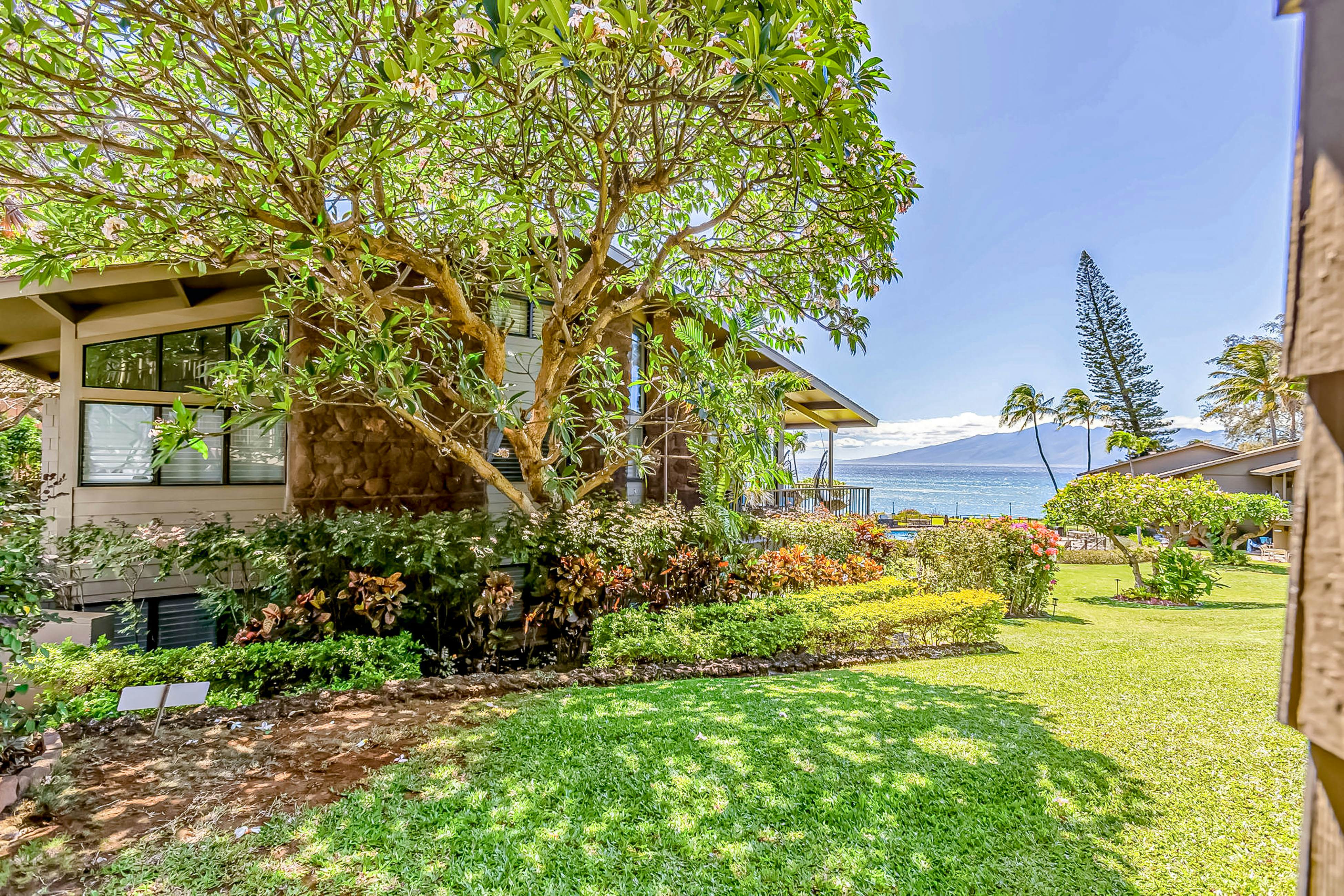 Polynesian Shores 118