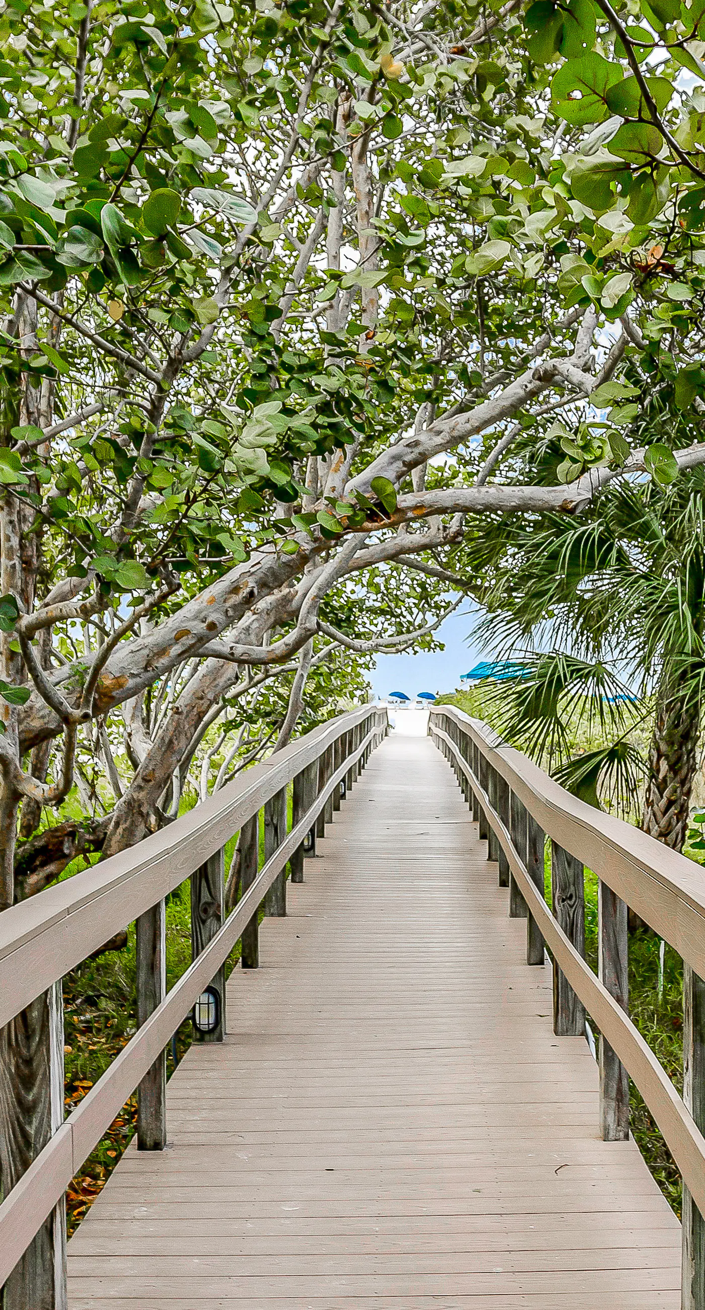 Marco Beach Ocean Resort Condominiums #801