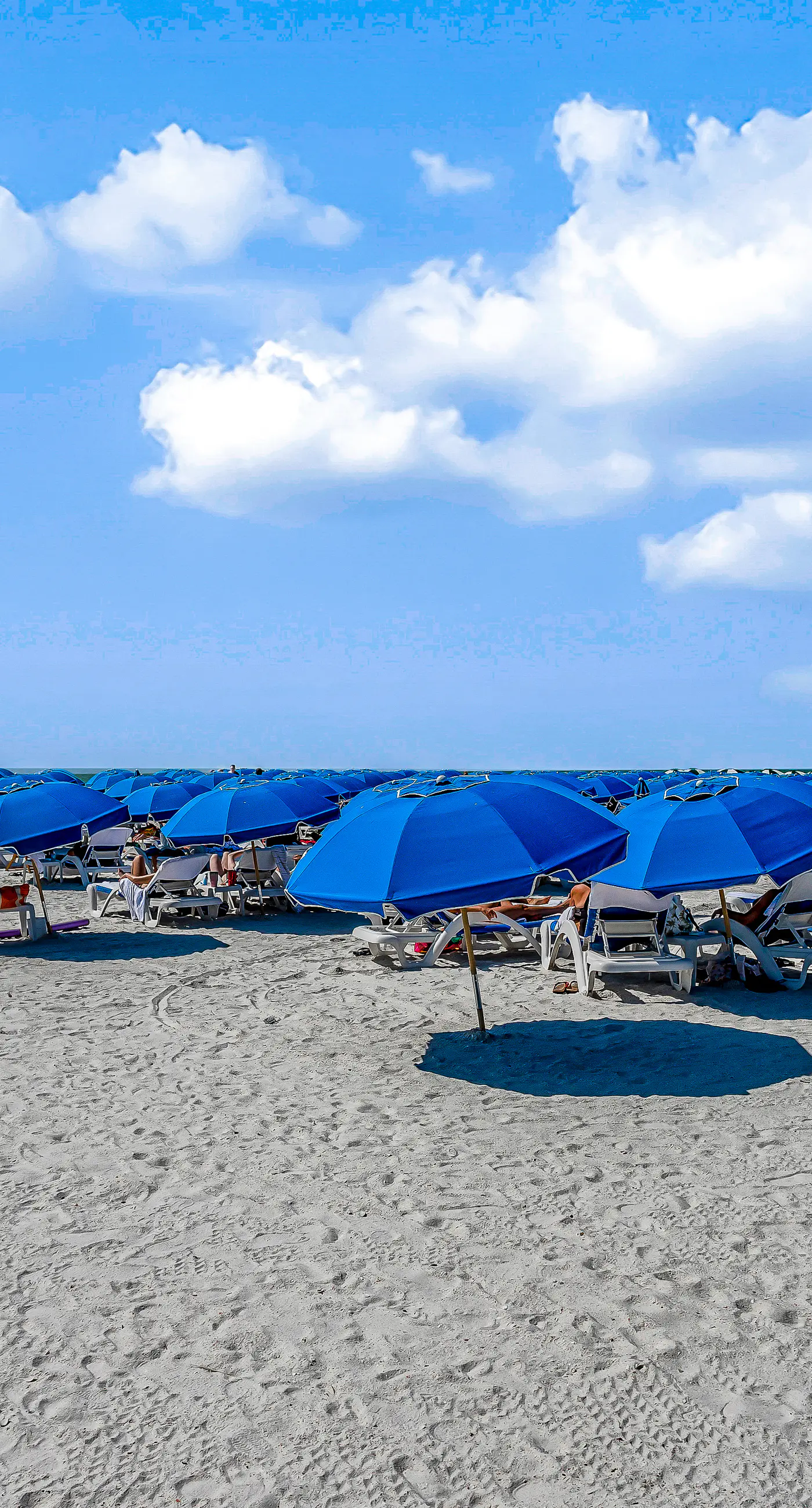 Marco Beach Ocean Resort Condominiums #801