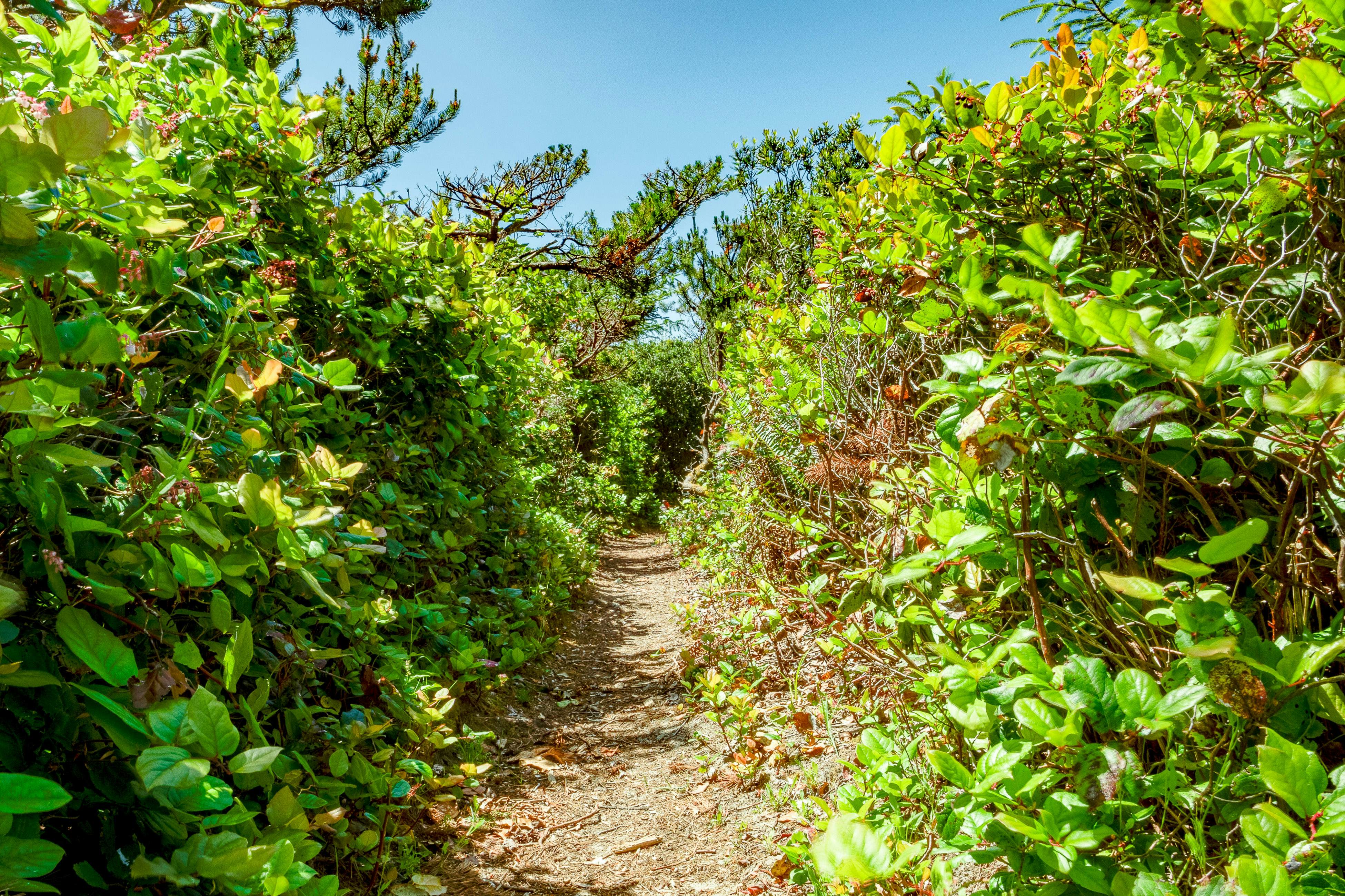 McKinnon's Beach House 4 BD Rockaway Beach, OR Vacation Rental Vacasa