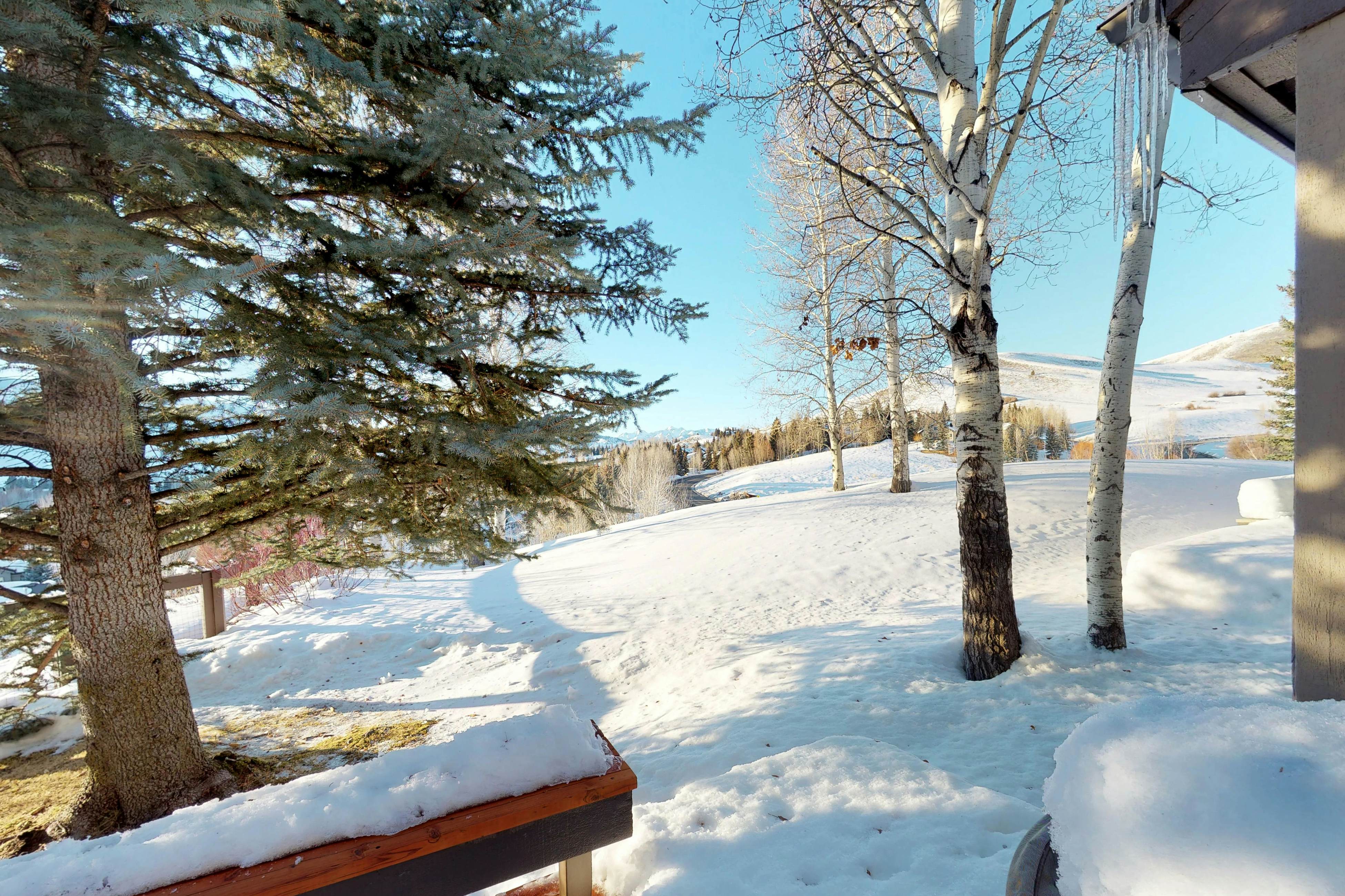 Fun In the Sun Valley