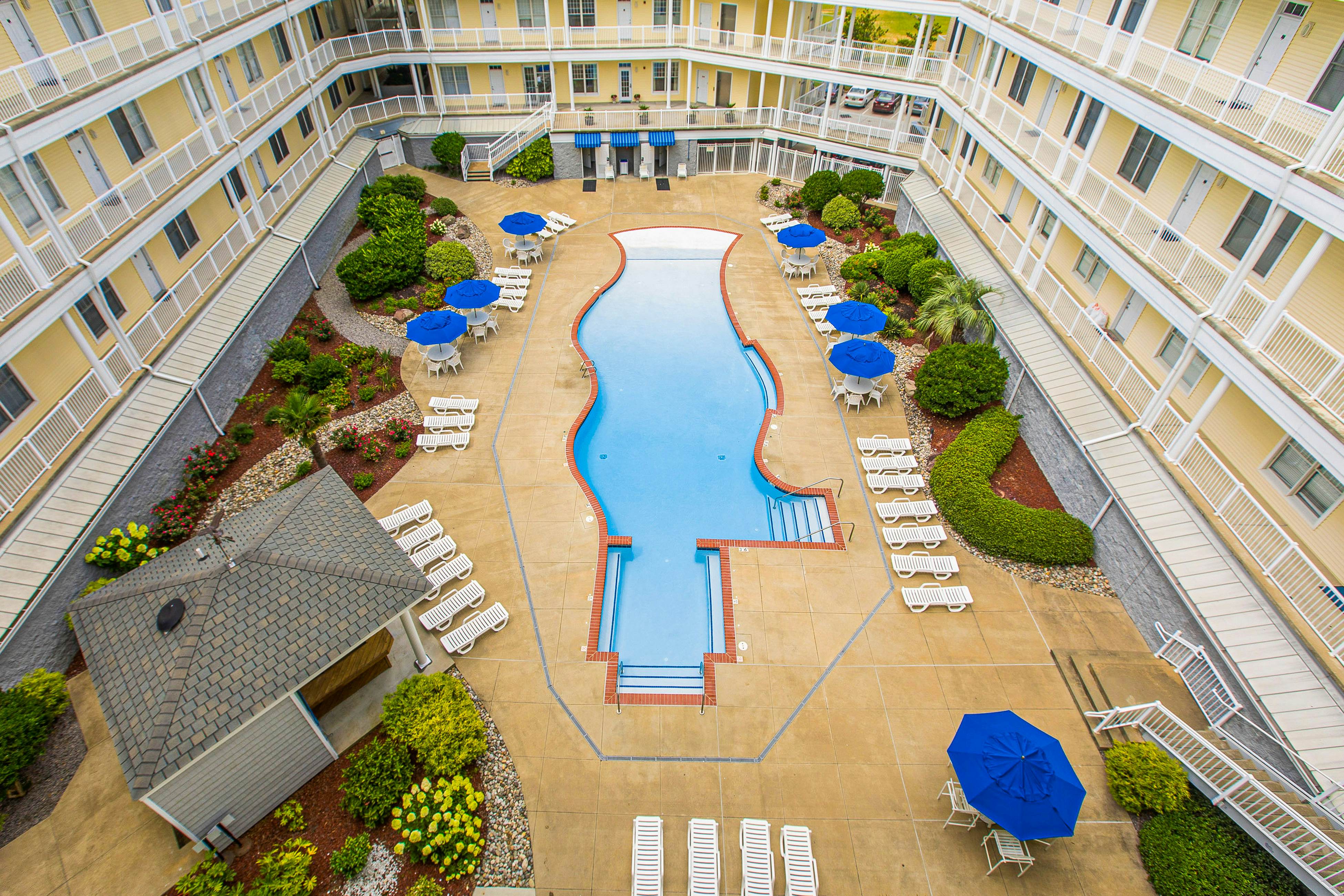 The Sandbridge Dunes - Summer Moments 107