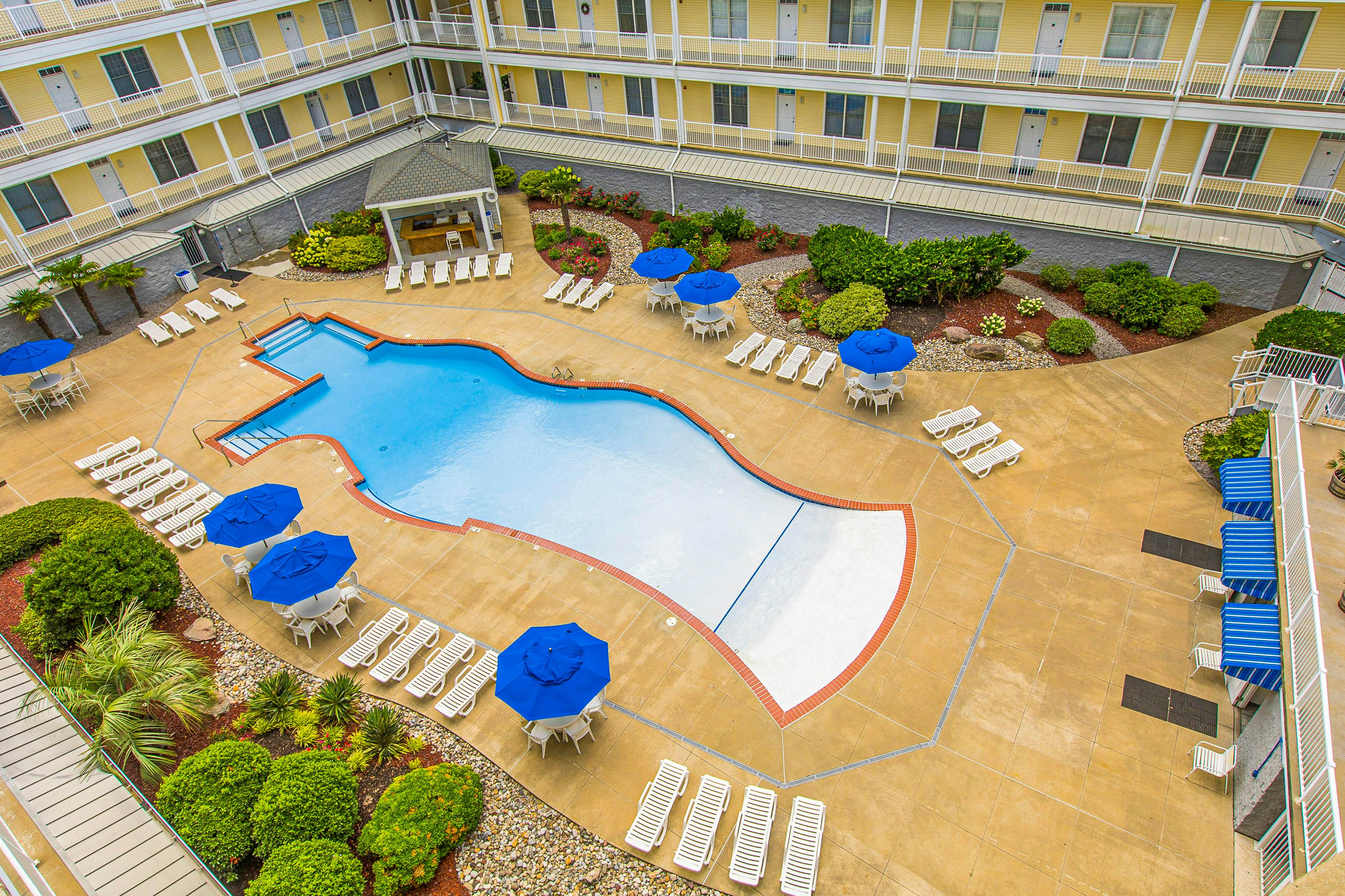 The Sandbridge Dunes - Summer Moments 107