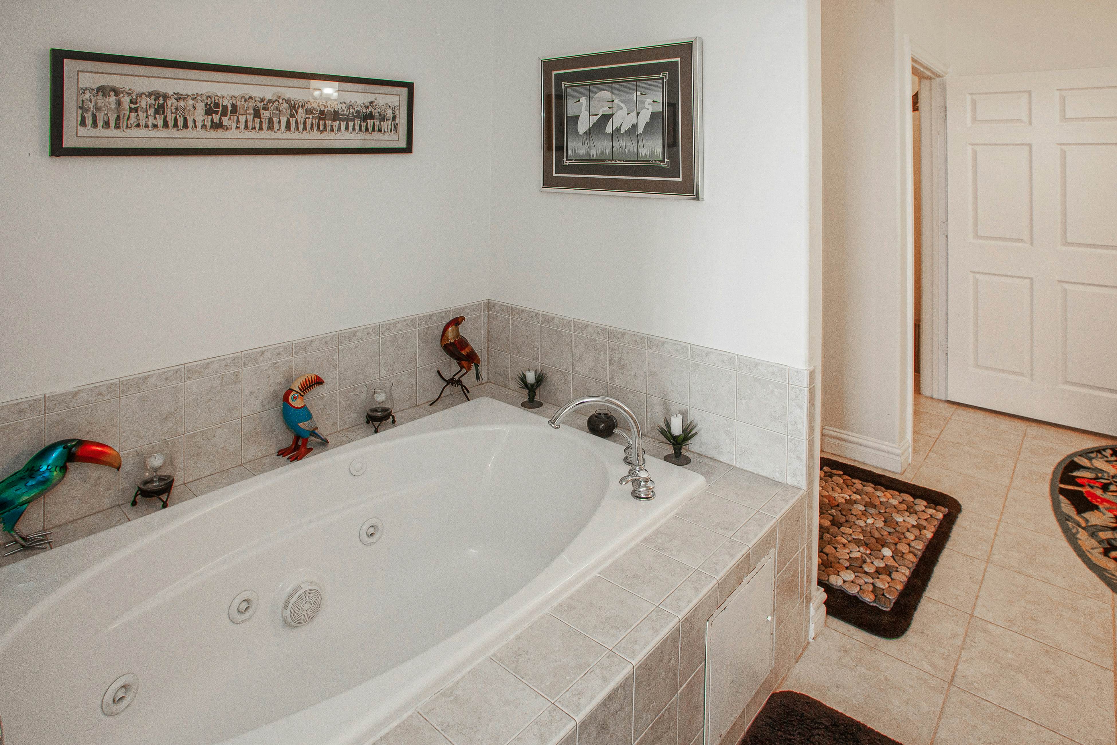 The Sandbridge Dunes - Katz Meow 204