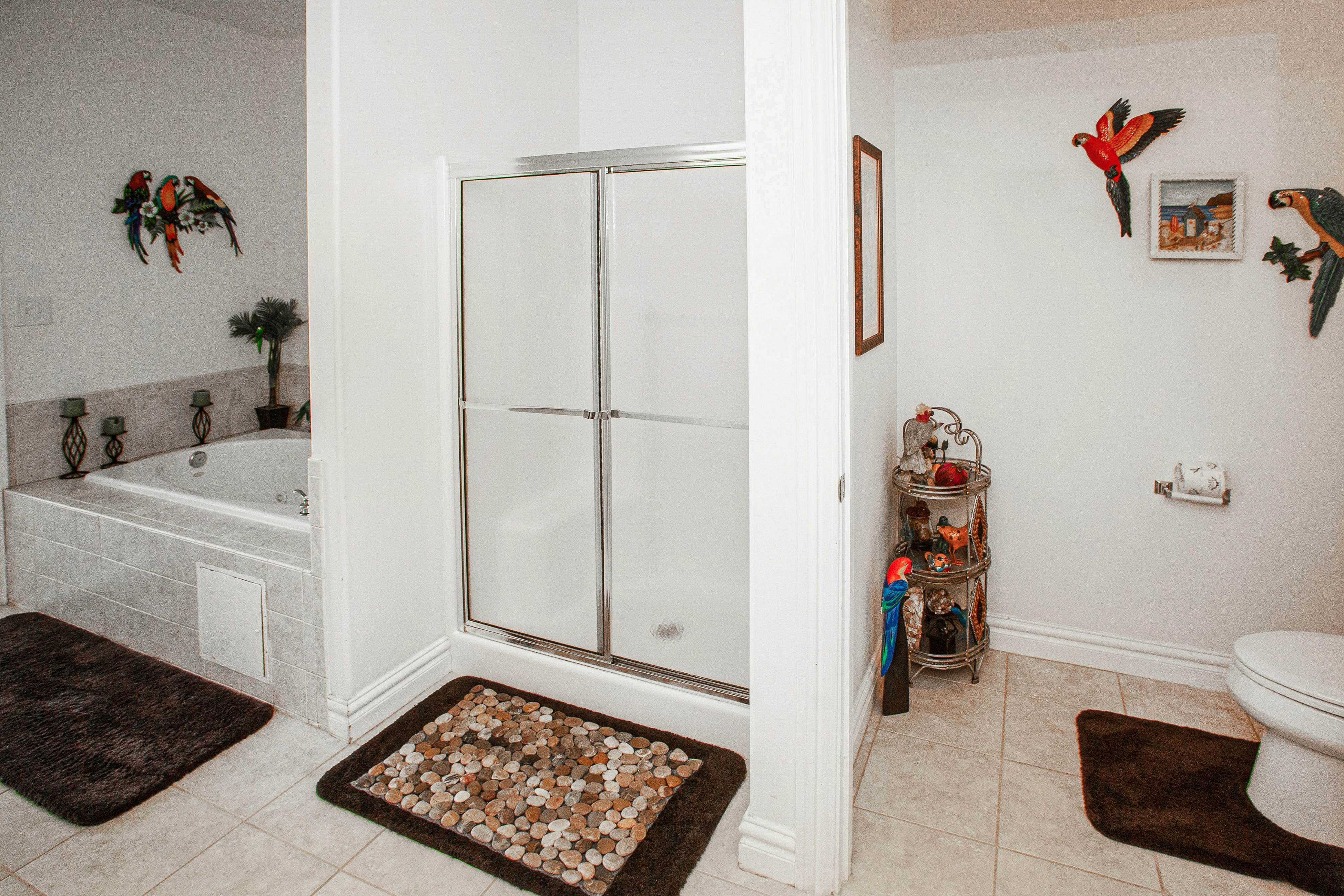 The Sandbridge Dunes - Katz Meow 204