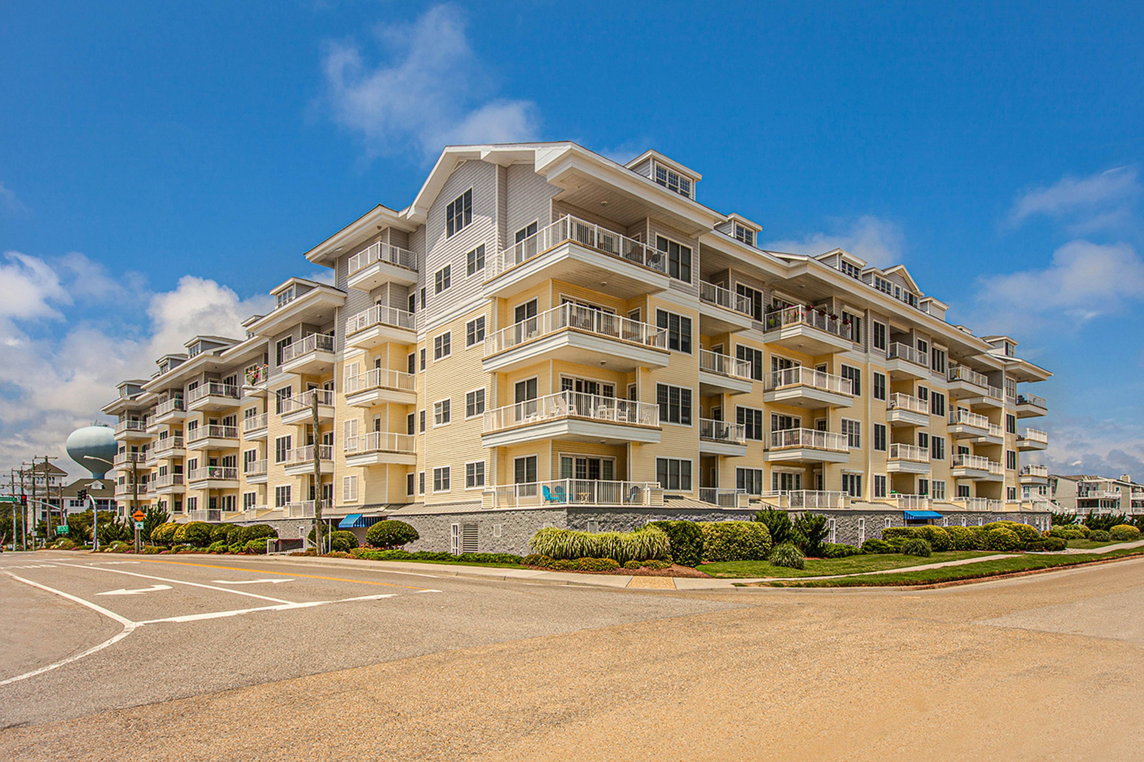 The Sandbridge Dunes - Katz Meow 204