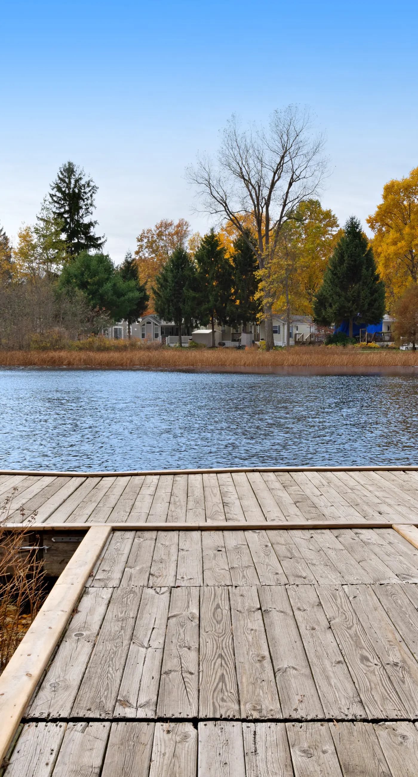 Kingfisher Cove Cabin 19 3 BD Saugatuck, MI Vacation Rental Vacasa