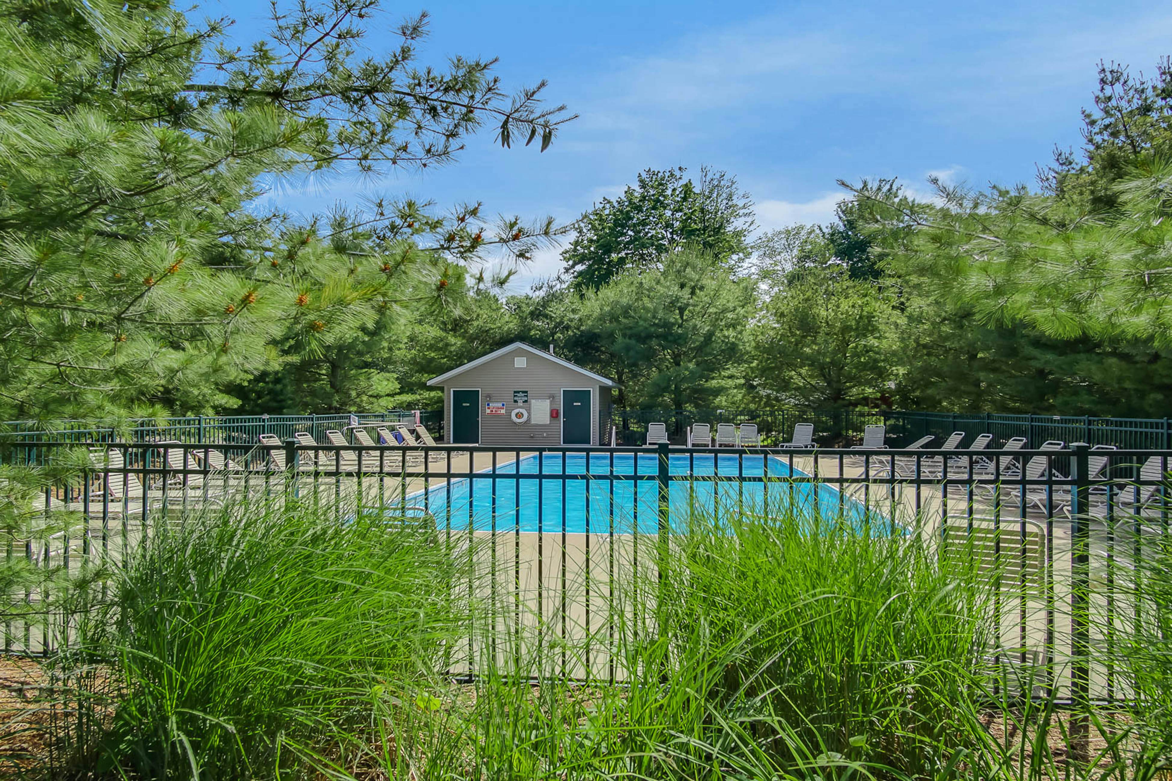 Kingfisher Cove Cabin 28