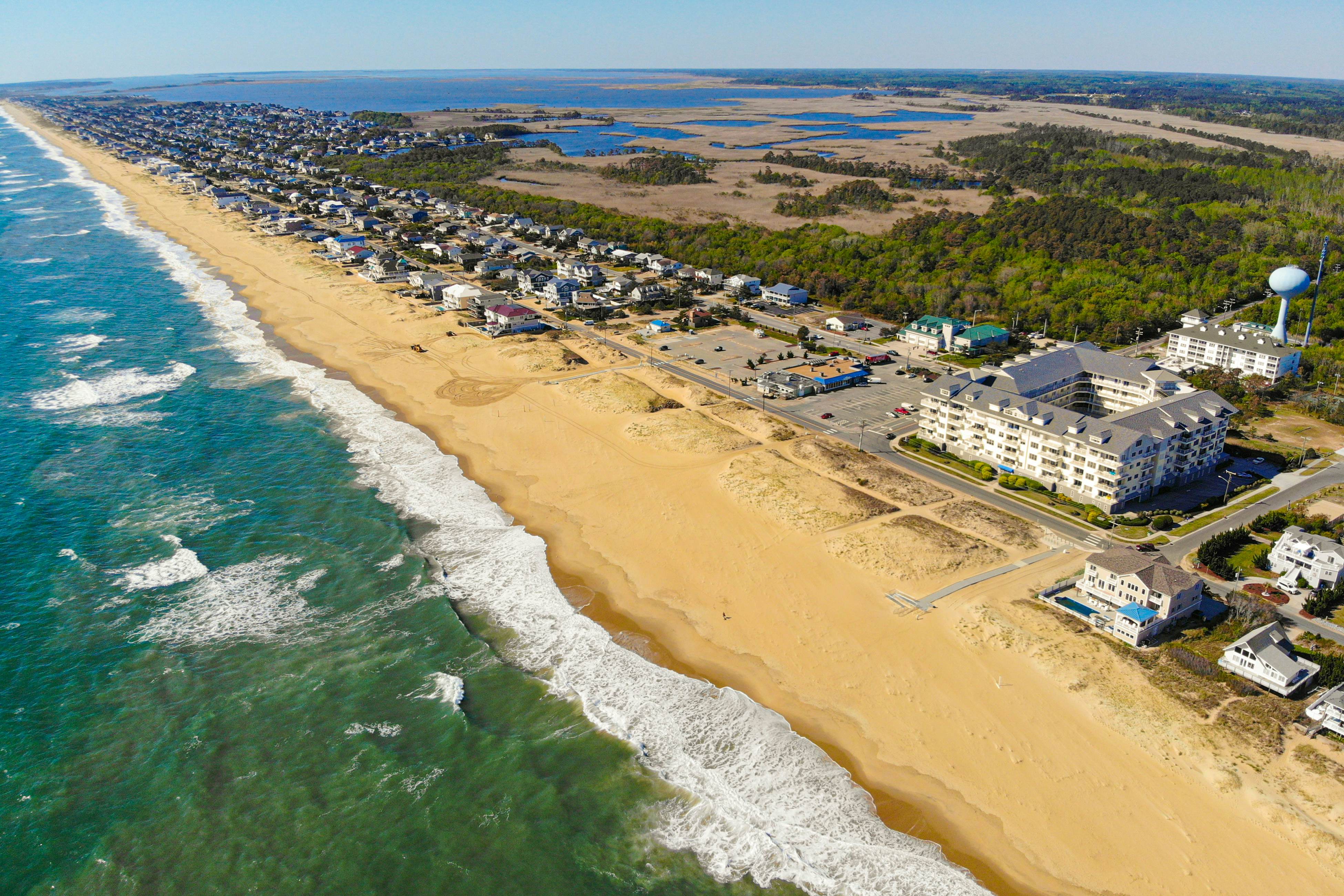 The Sandbridge Dunes - Seabiscuit 306