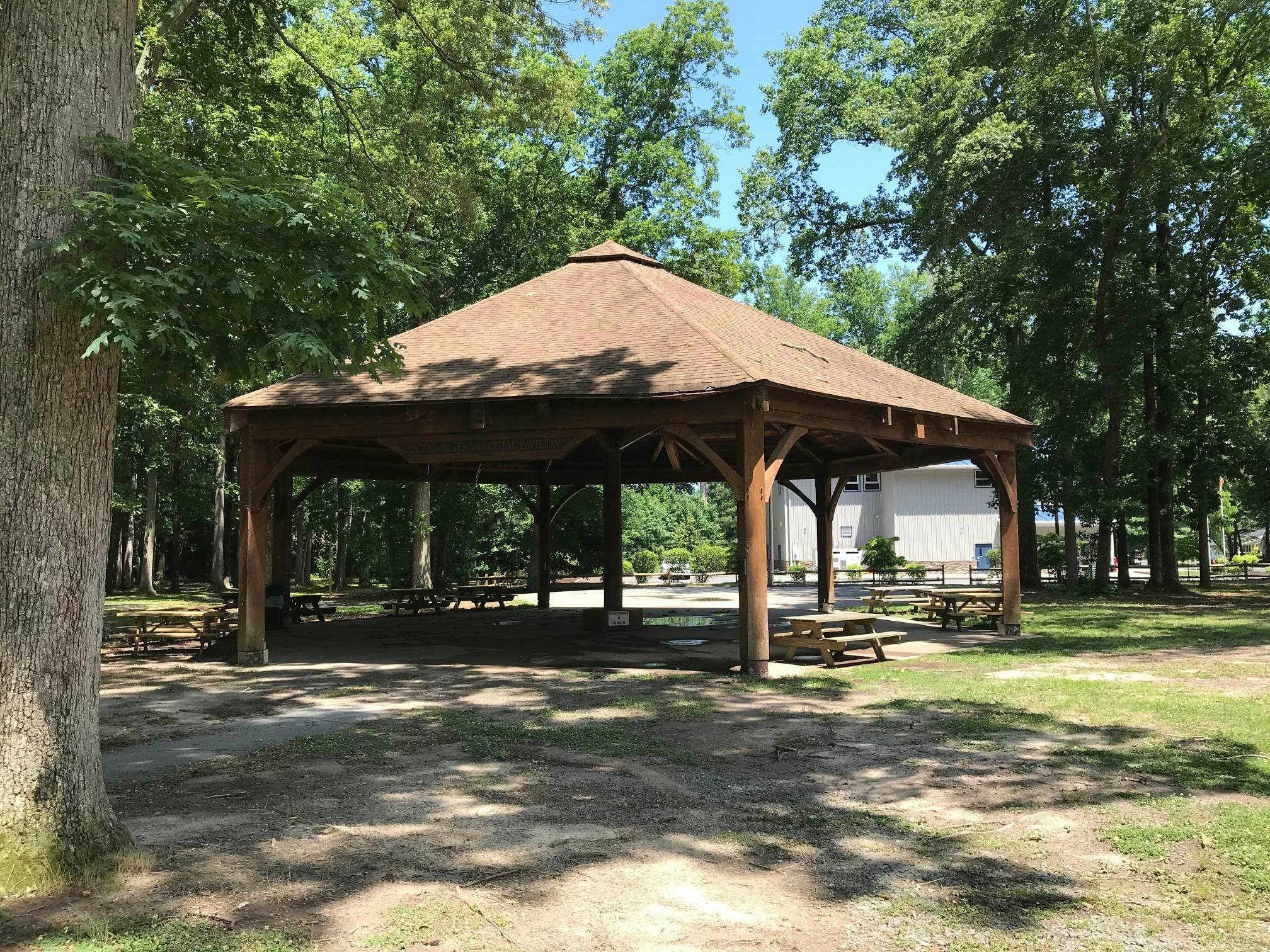 14 Clipper on the Bay