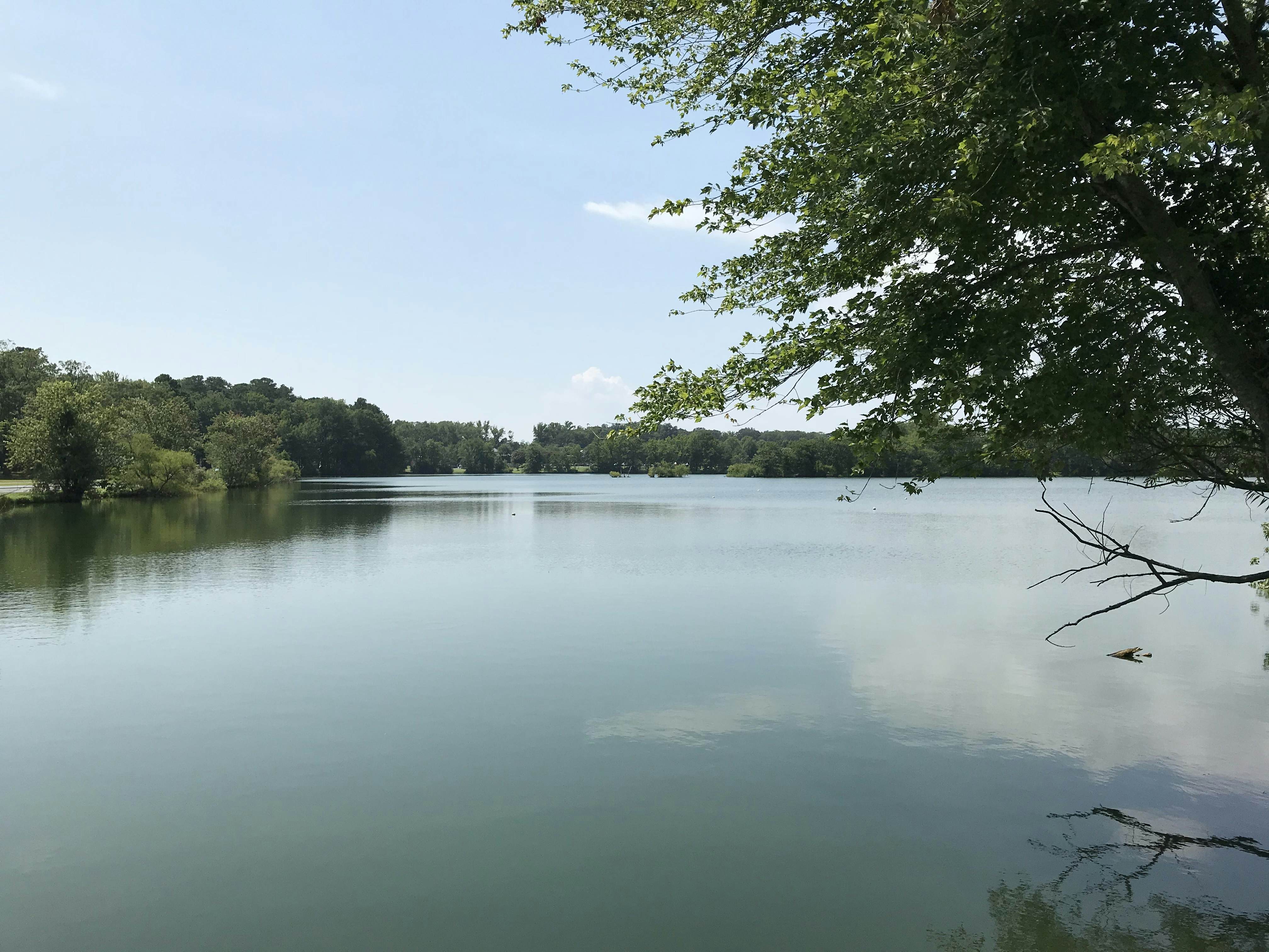 14 Clipper on the Bay